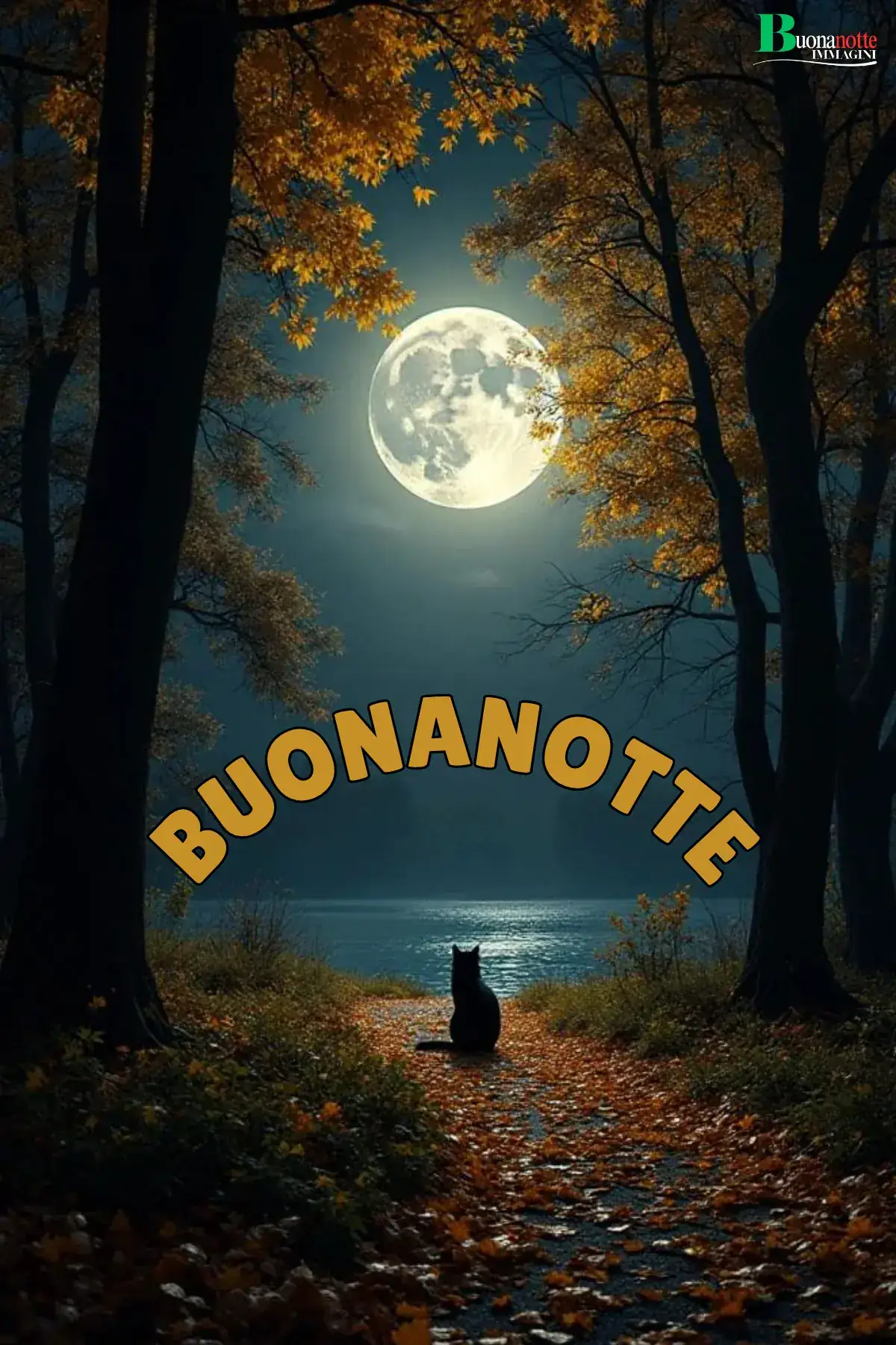 Gatto nero contempla luna piena tra alberi autunnali buonanotte autunnale