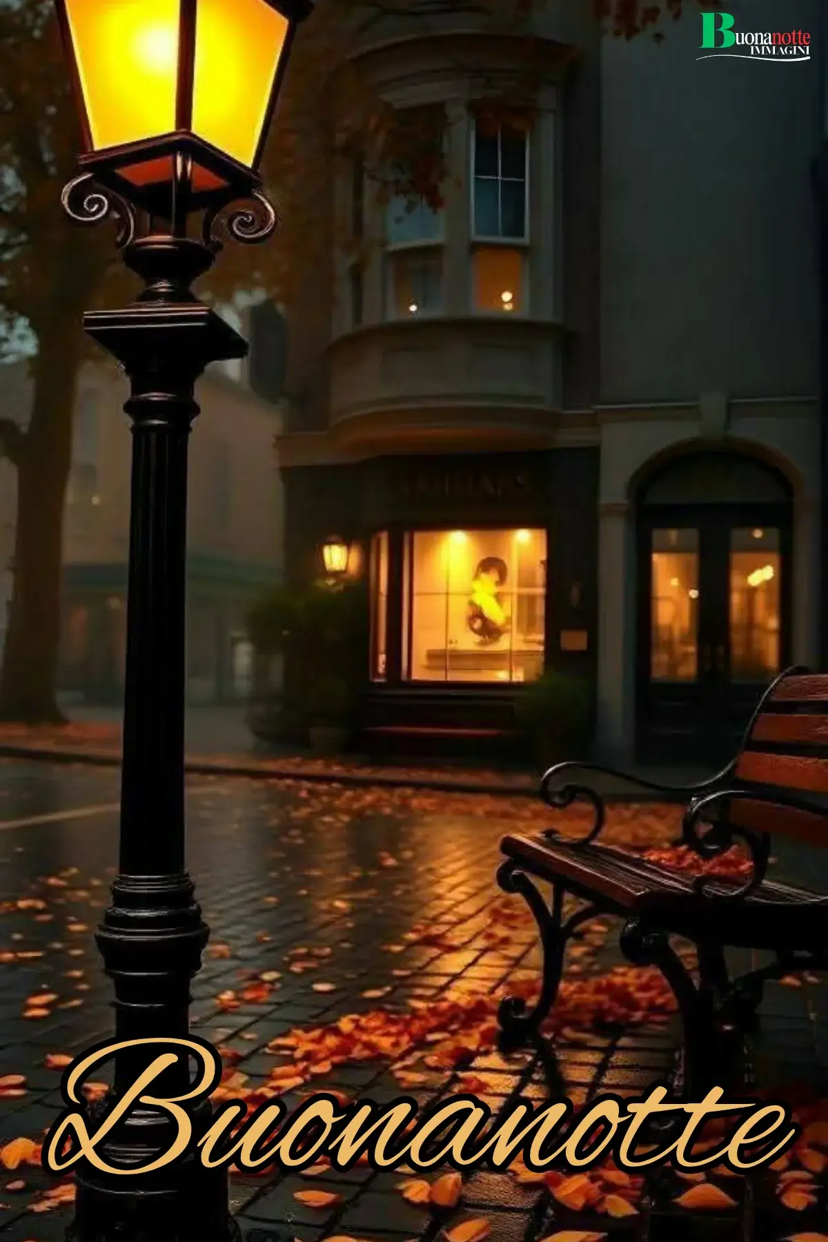 Lampione acceso panchina foglie autunnali sera piovosa buonanotte autunnale