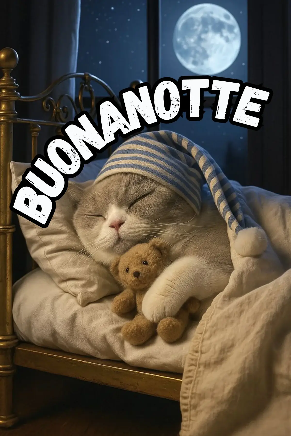 Gattino che dorme con berretto da notte e orsacchiotto buonanotte divertente