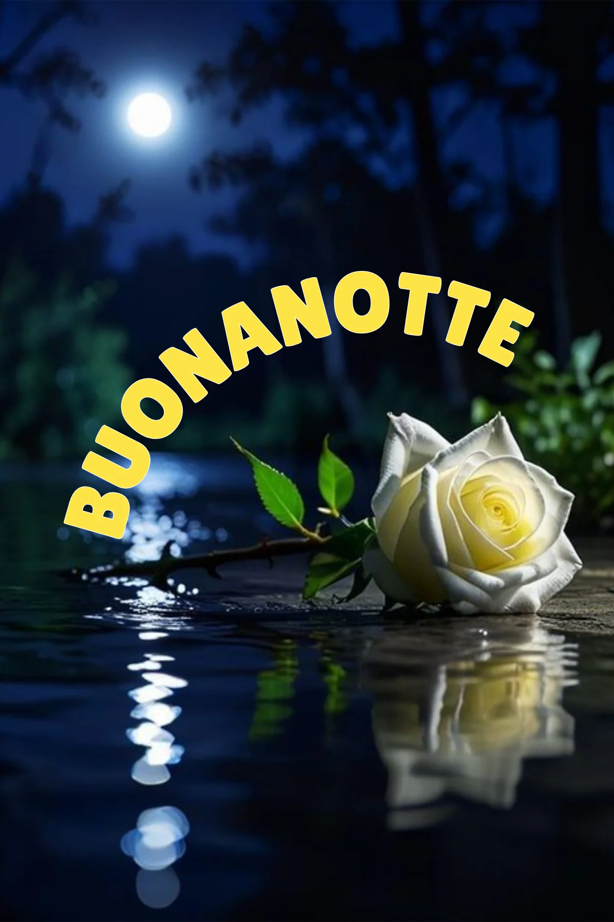 Rosa bianca riflessa nell'acqua sotto luna piena, 100 immagini buonanotte