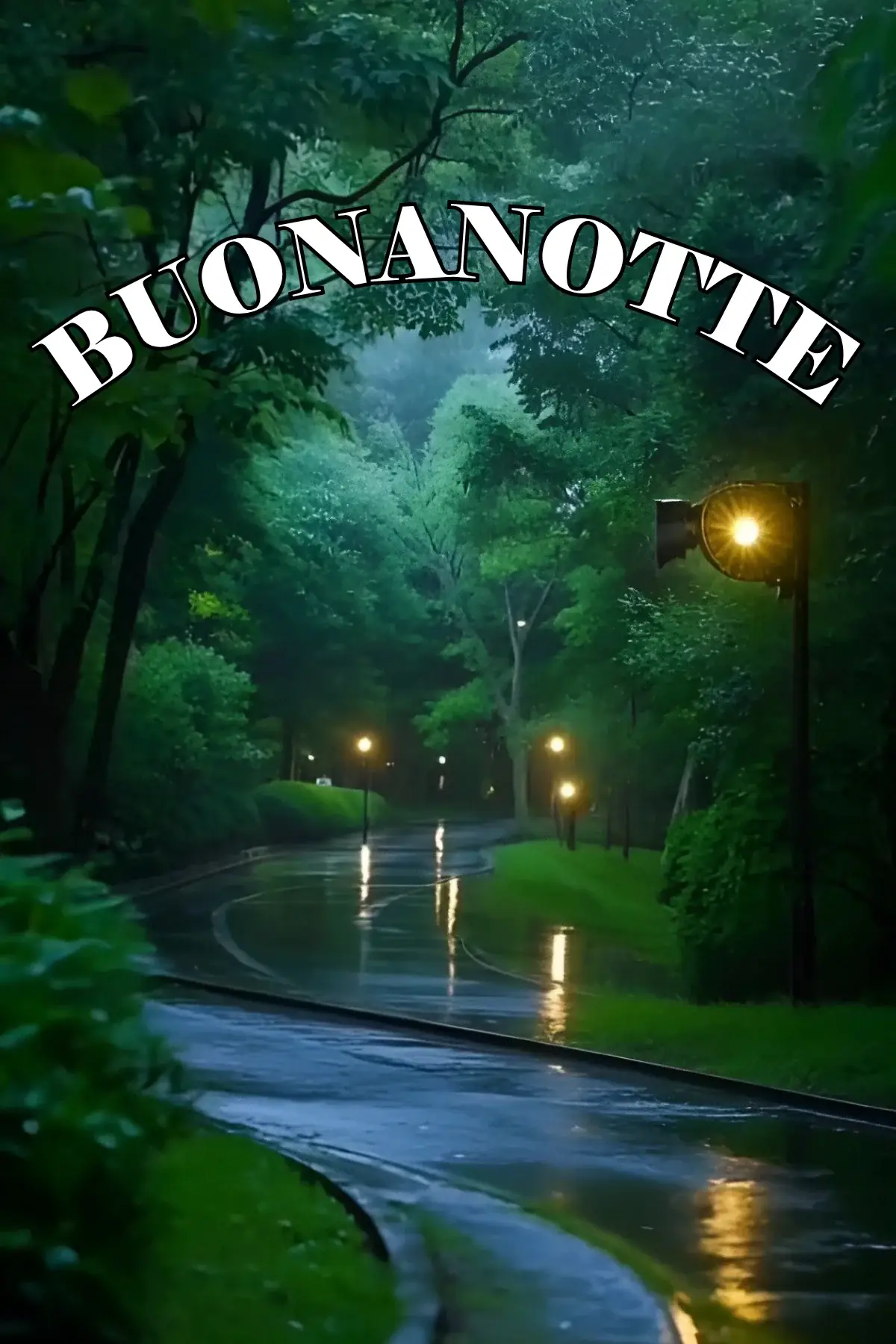 Strada bagnata dalla pioggia con lampioni e alberi verdi buonanotte WhatsApp