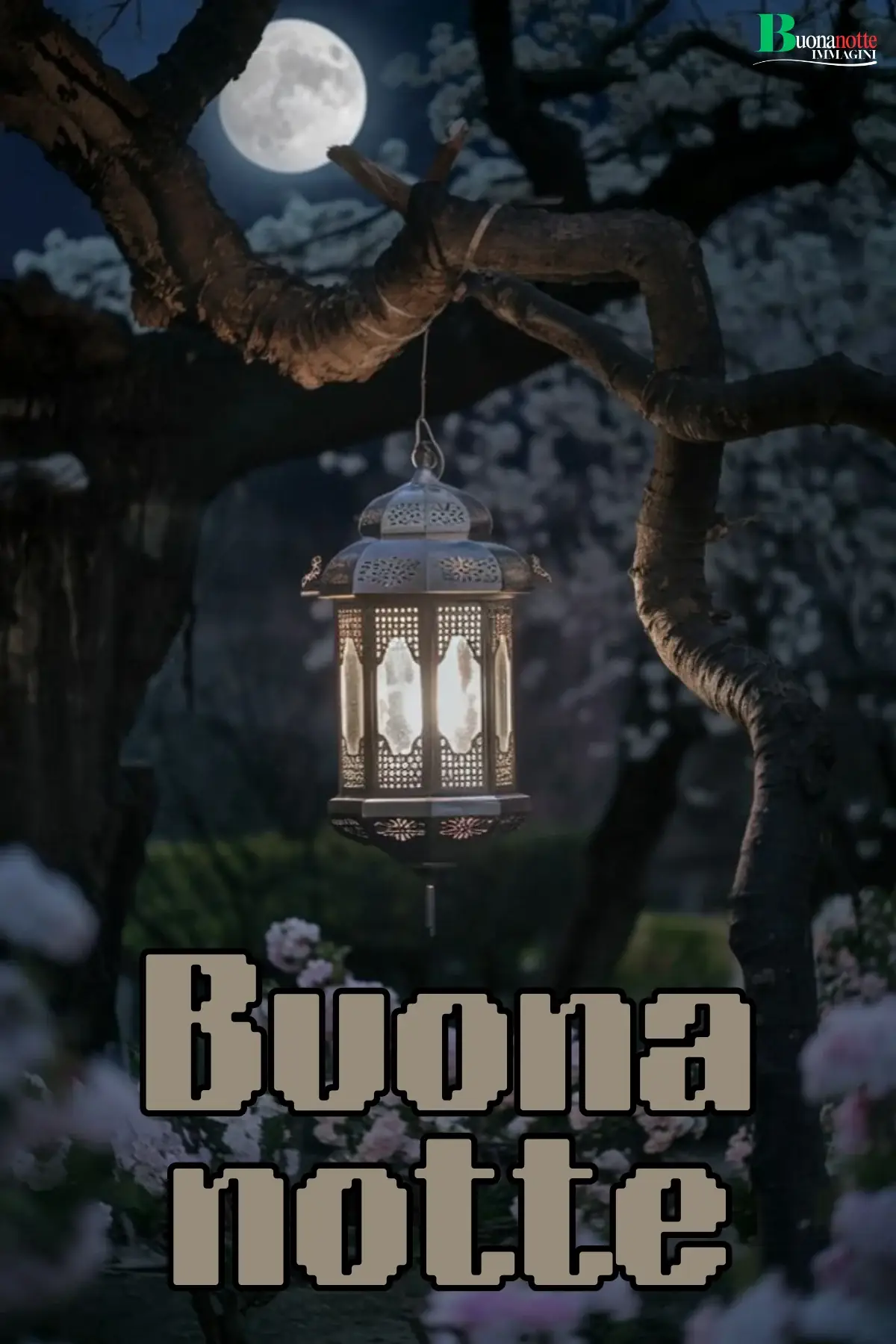 Lanterna antica su albero fiorito con luna piena immagine buonanotte