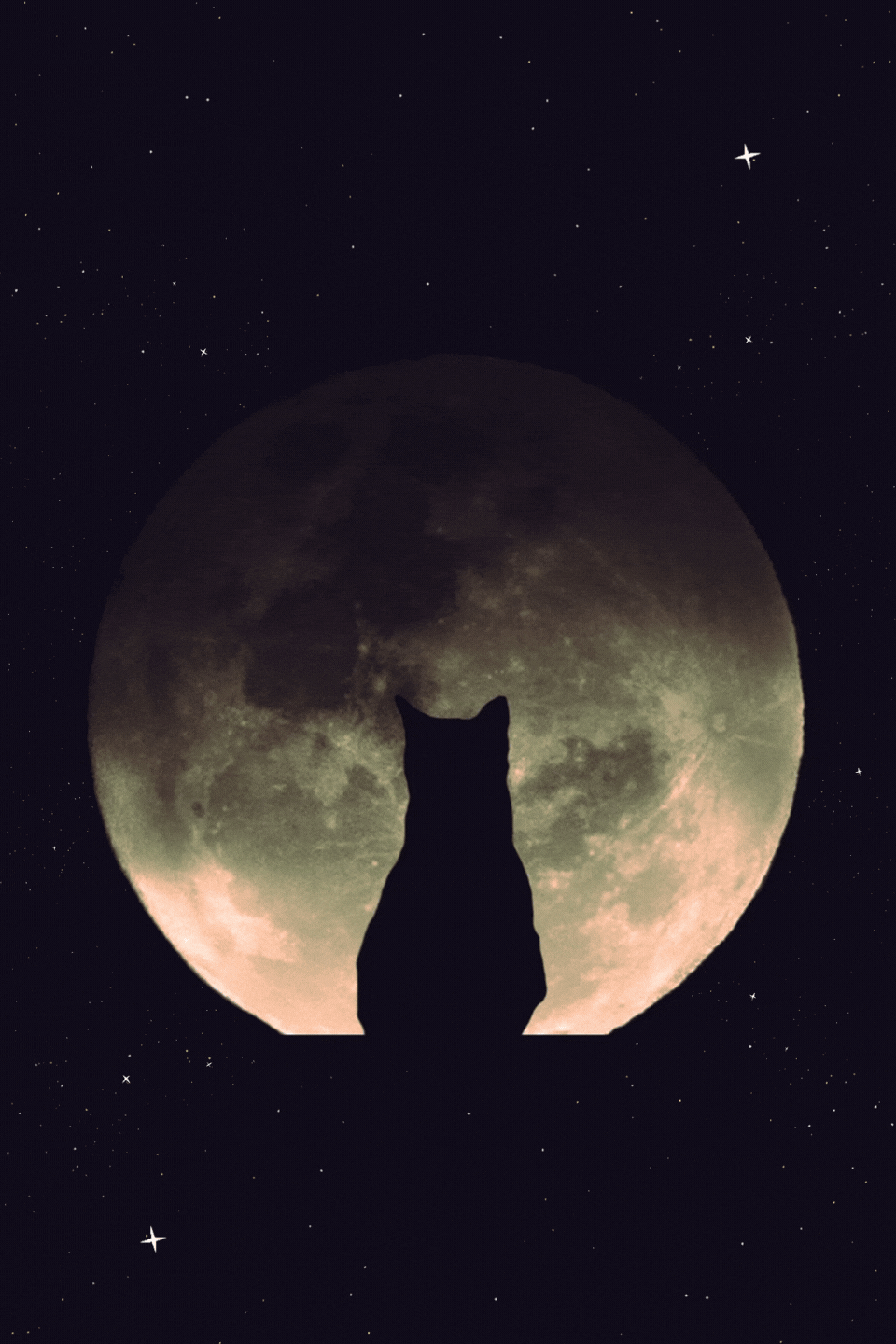 Gatto contempla luna piena buonanotte originalissima gif
