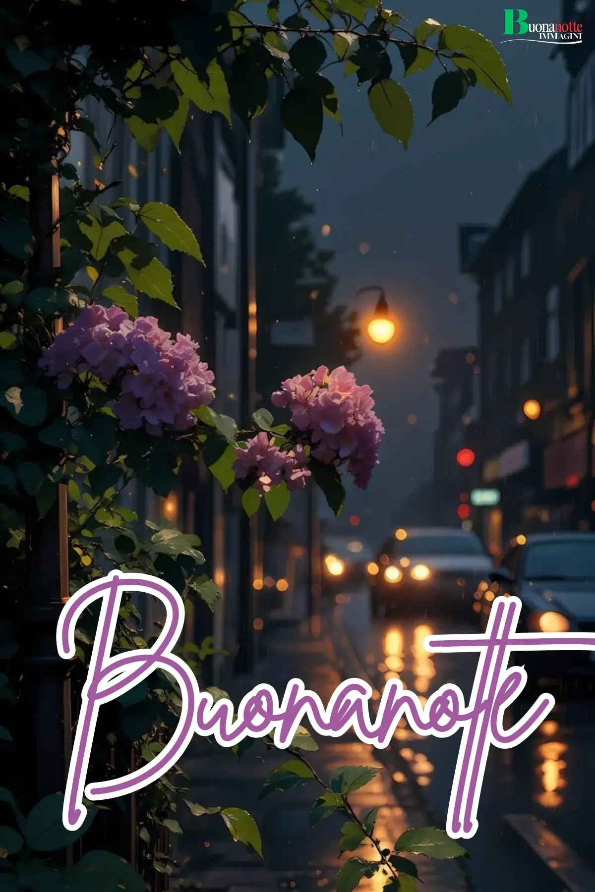 Ortensie rosa sotto la pioggia in strada serale illuminata buonanotte