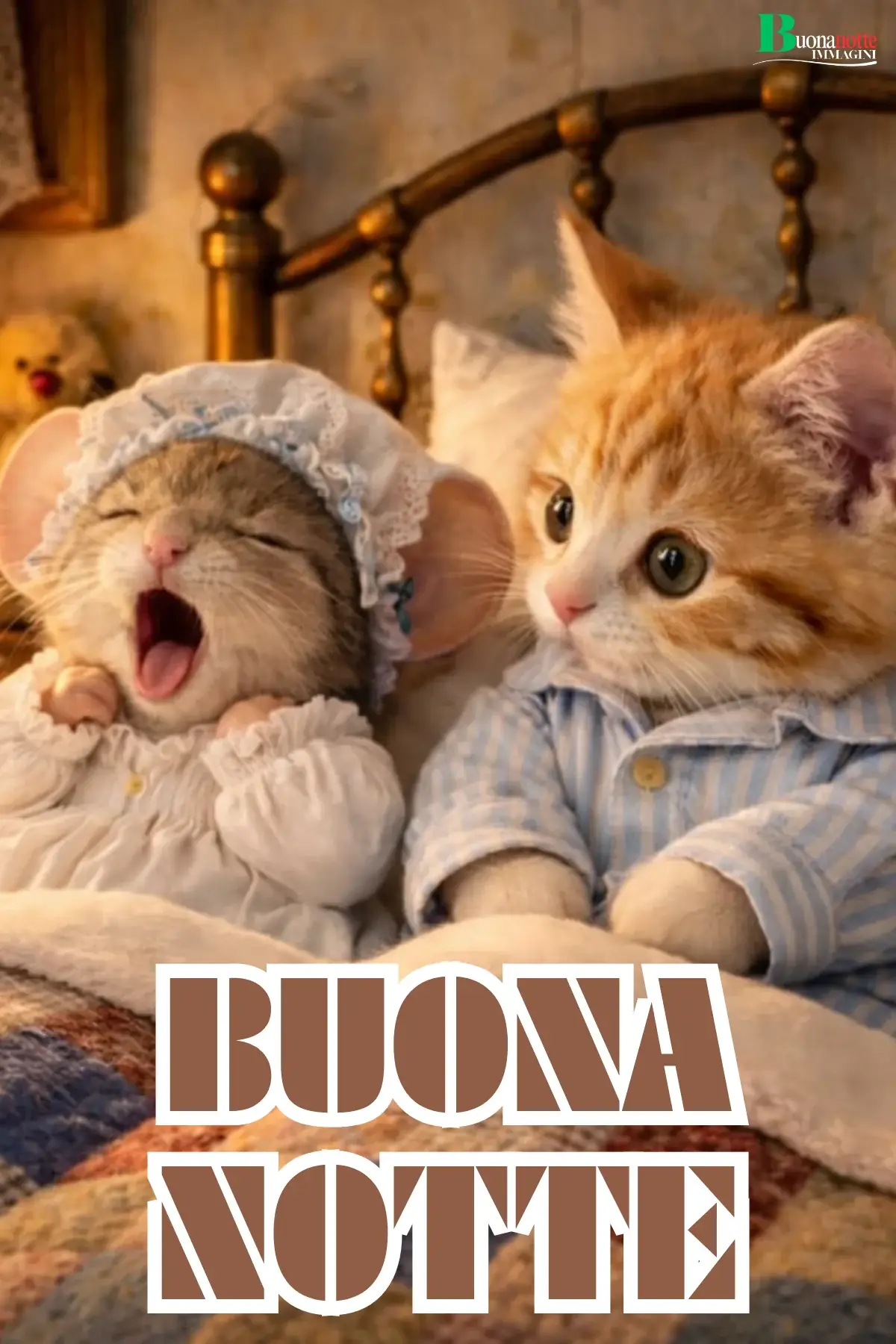 Due gattini in pigiama a letto che sbadigliano buonanotte divertente