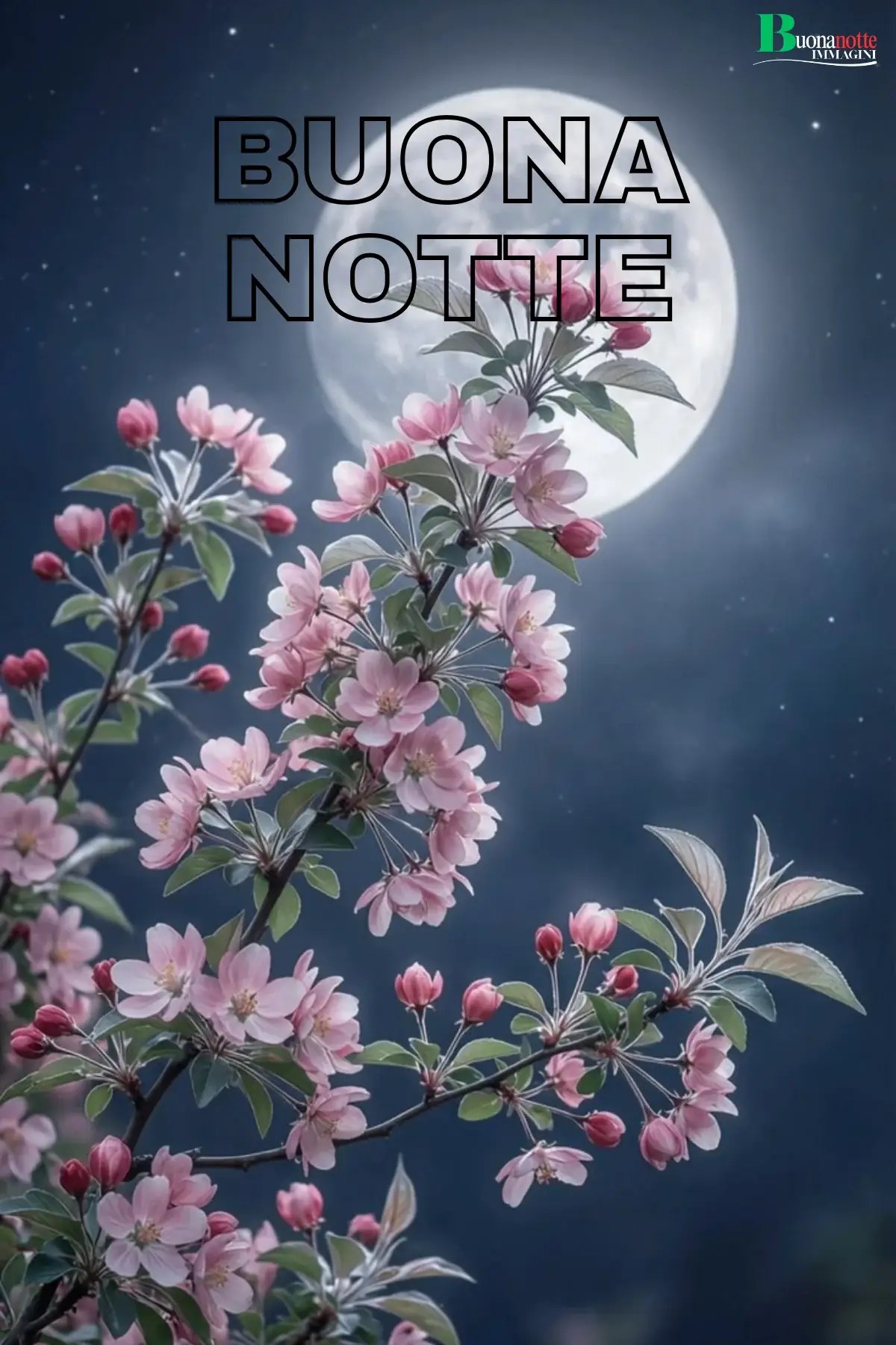 Rami di ciliegio rosa sotto luna piena notturna immagine buonanotte