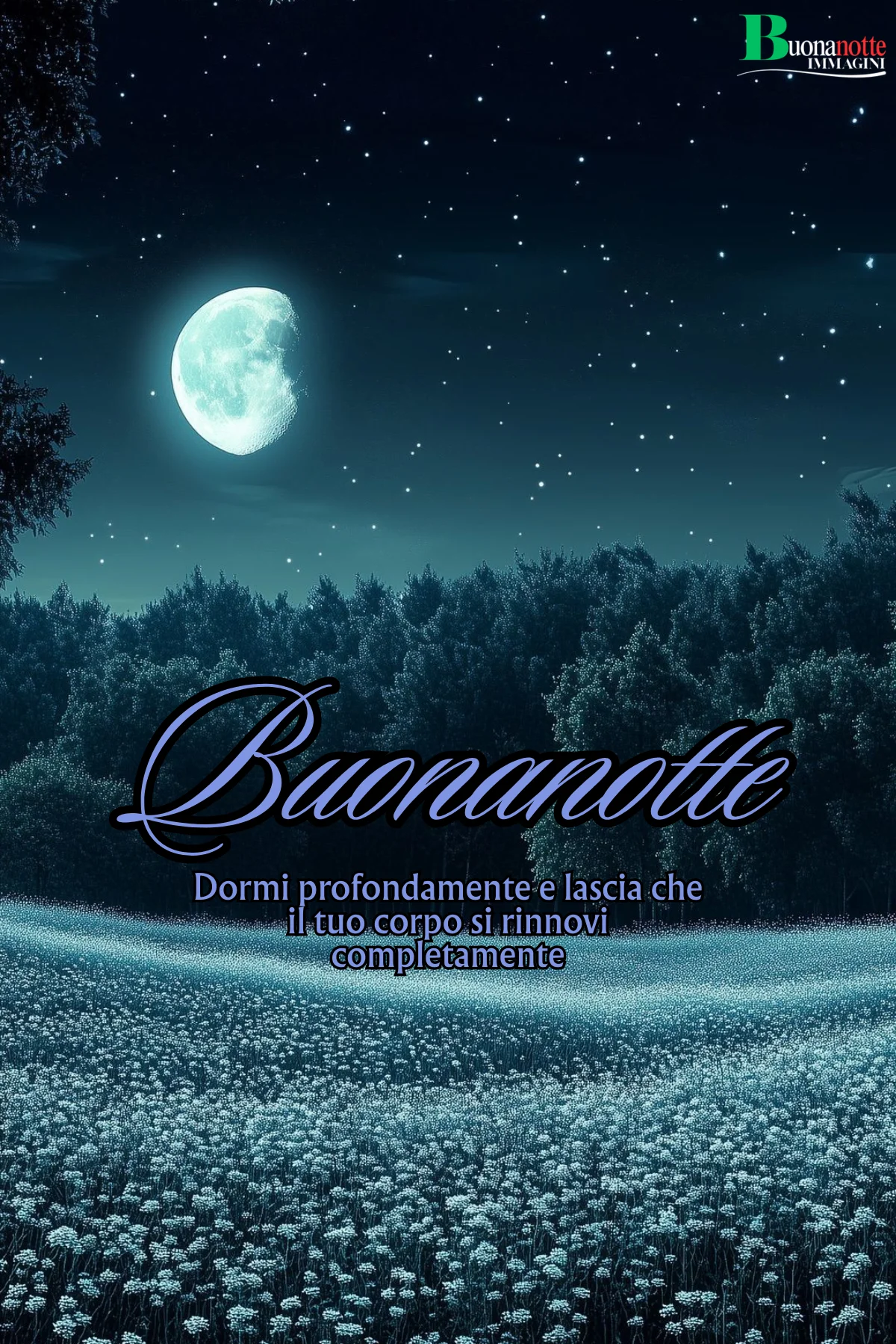 Luna piena su prato fiorito con cielo stellato frasi buonanotte