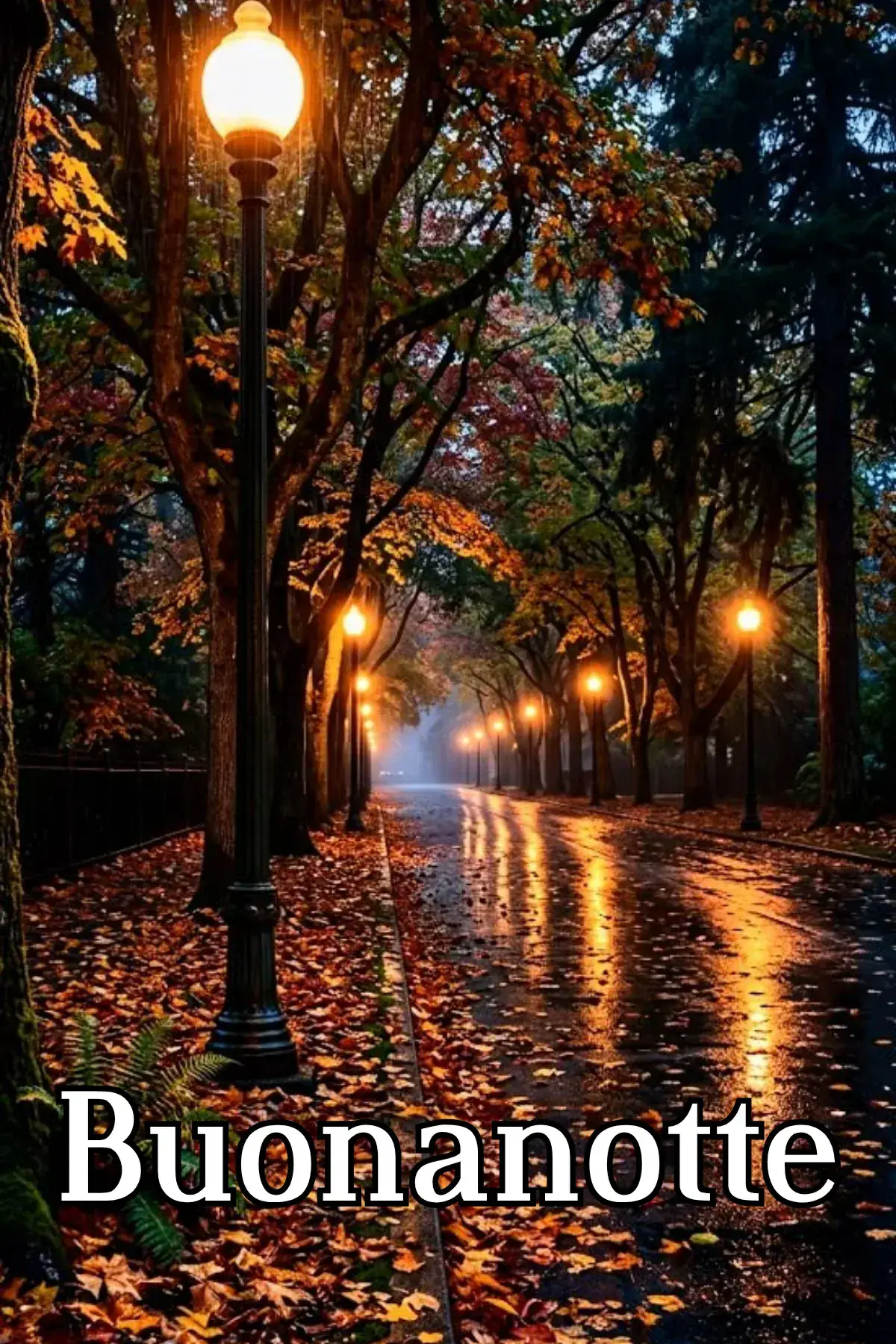 Viale autunnale con lampioni accesi e foglie sotto la pioggia buonanotte autunnale