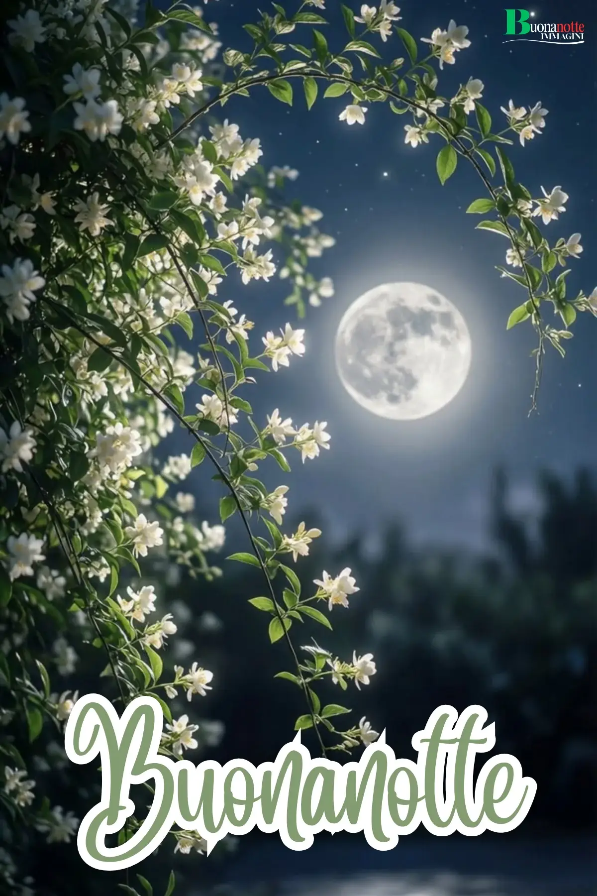 Luna piena tra gelsomini fioriti buonanotte estiva