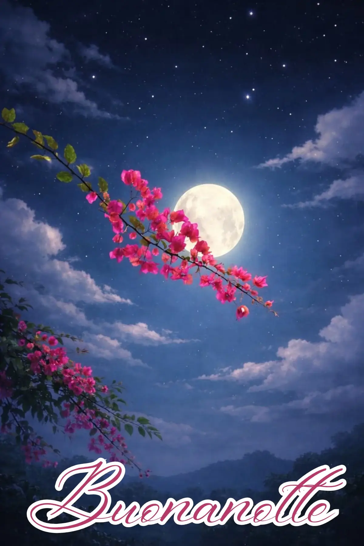 Bouganville rosa sotto la luna buonanotte estiva