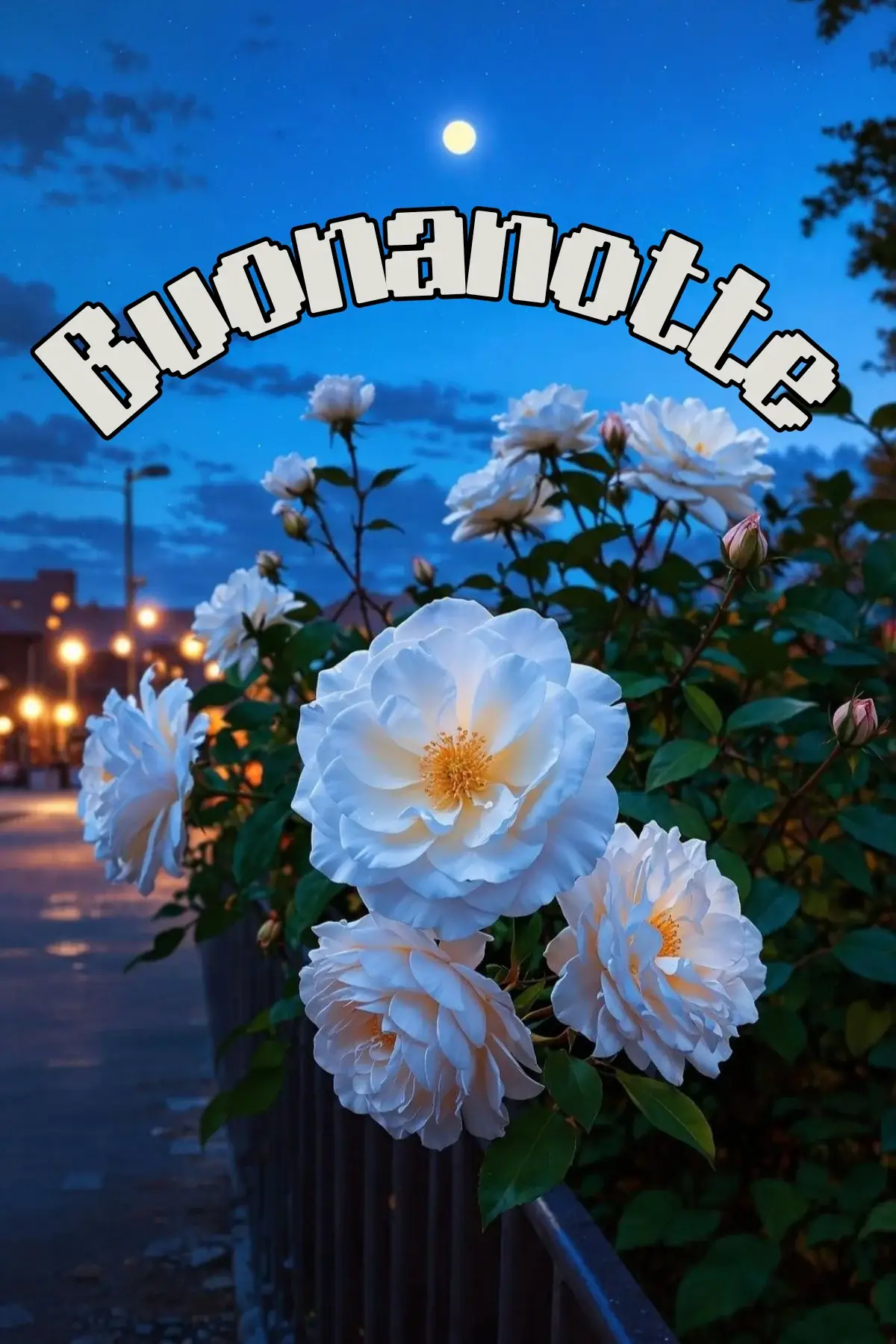 Rose bianche fiorite sotto la luna nel cielo notturno immagine buonanotte