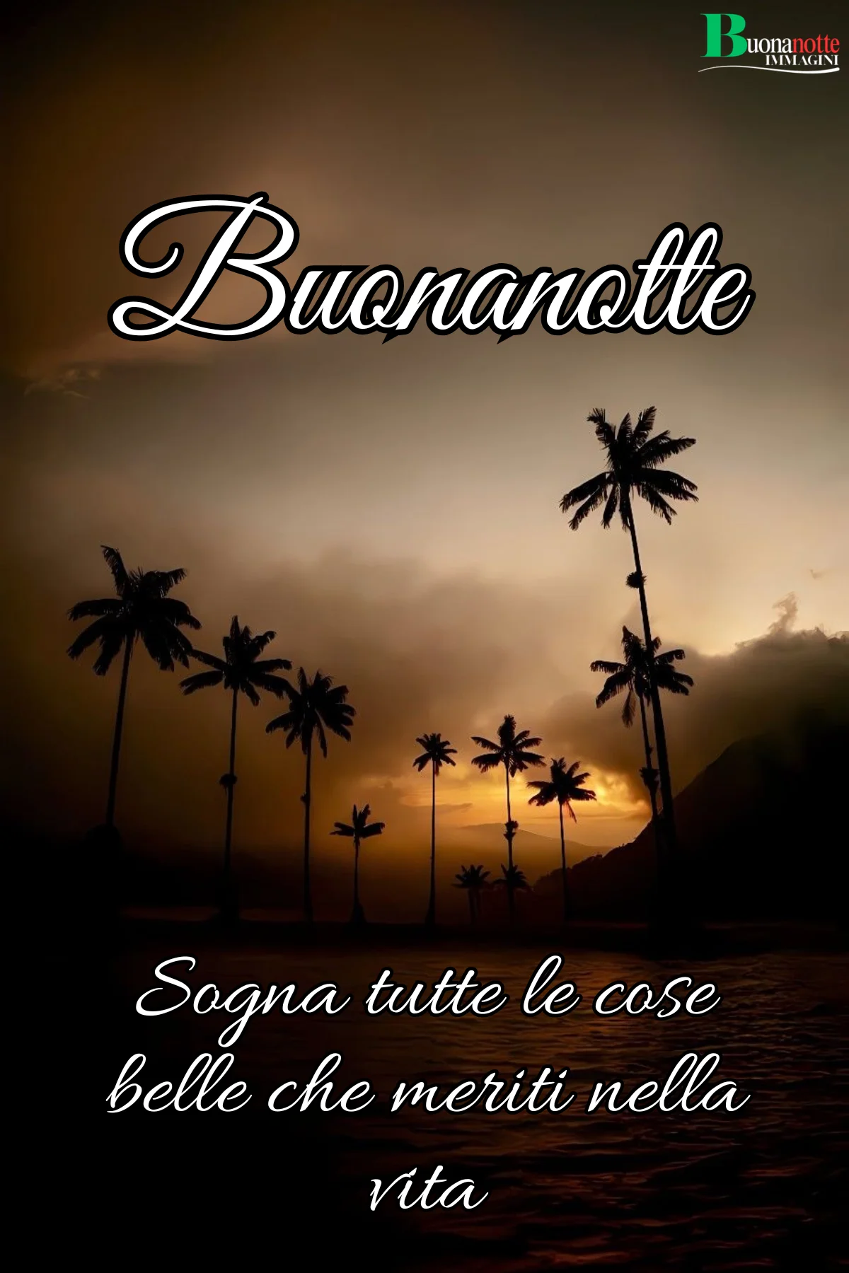 Tramonto tropicale con palme e mare al crepuscolo frasi buonanotte
