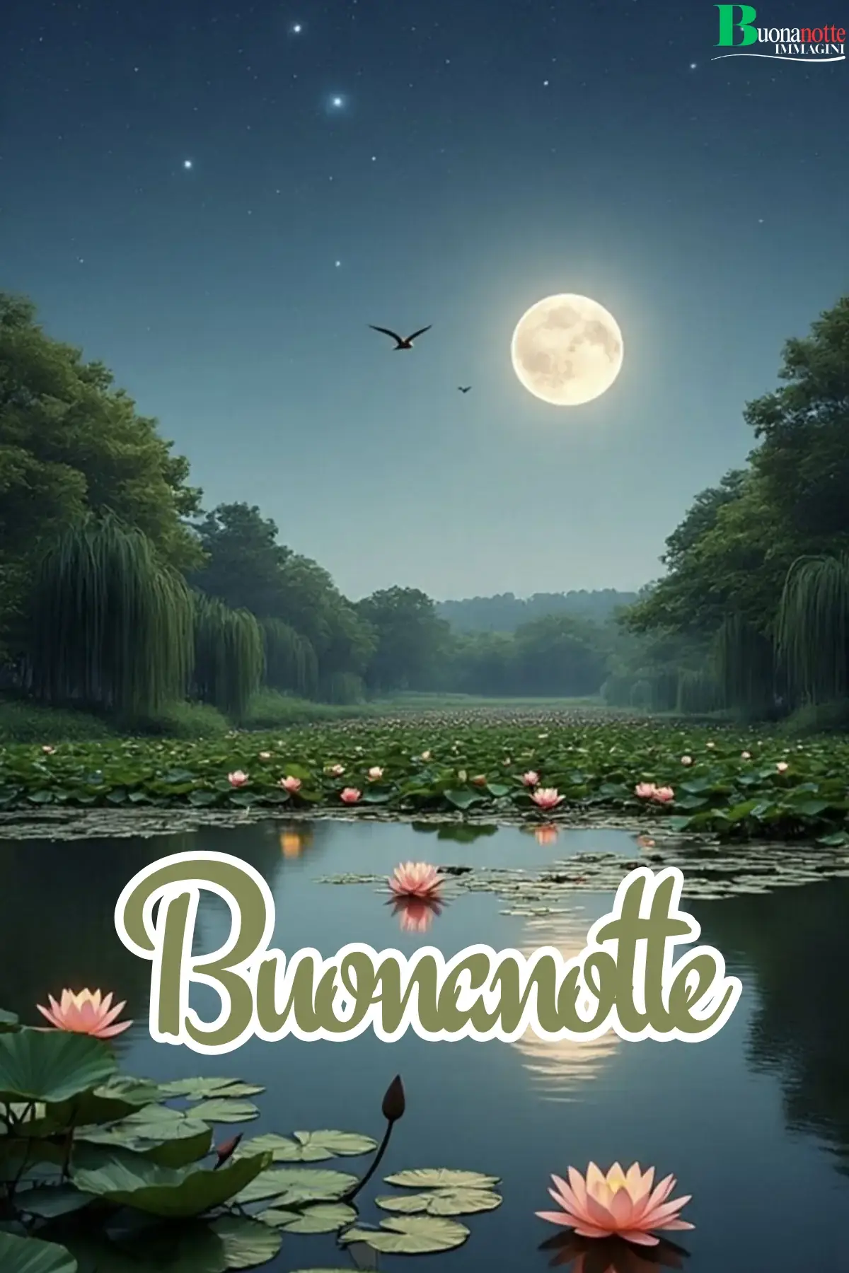 Lago con ninfee rosa sotto luna piena buonanotte estiva