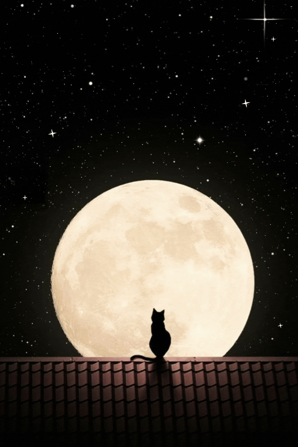Sagoma gatto nero su tetto contro luna piena stellata buonanotte gif
