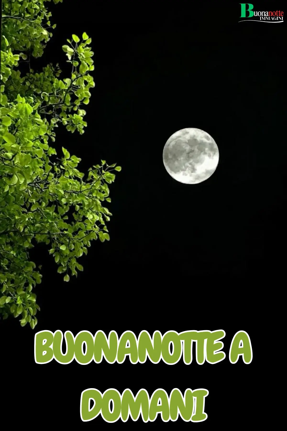 Luna piena tra foglie verdi nel cielo notturno buonanotte a domani