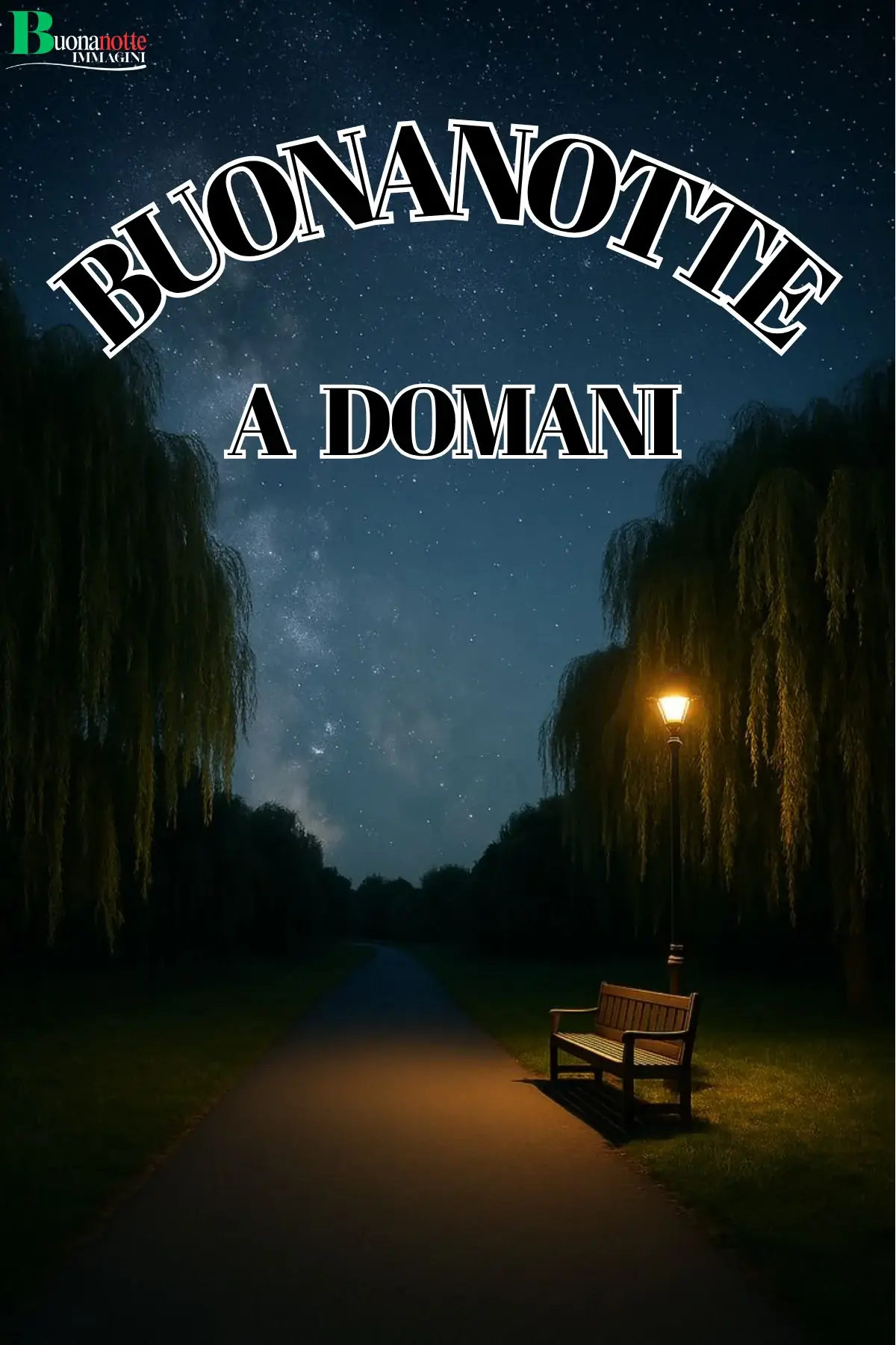 Viale notturno tra salici con panchina e lampione acceso buonanotte a domani