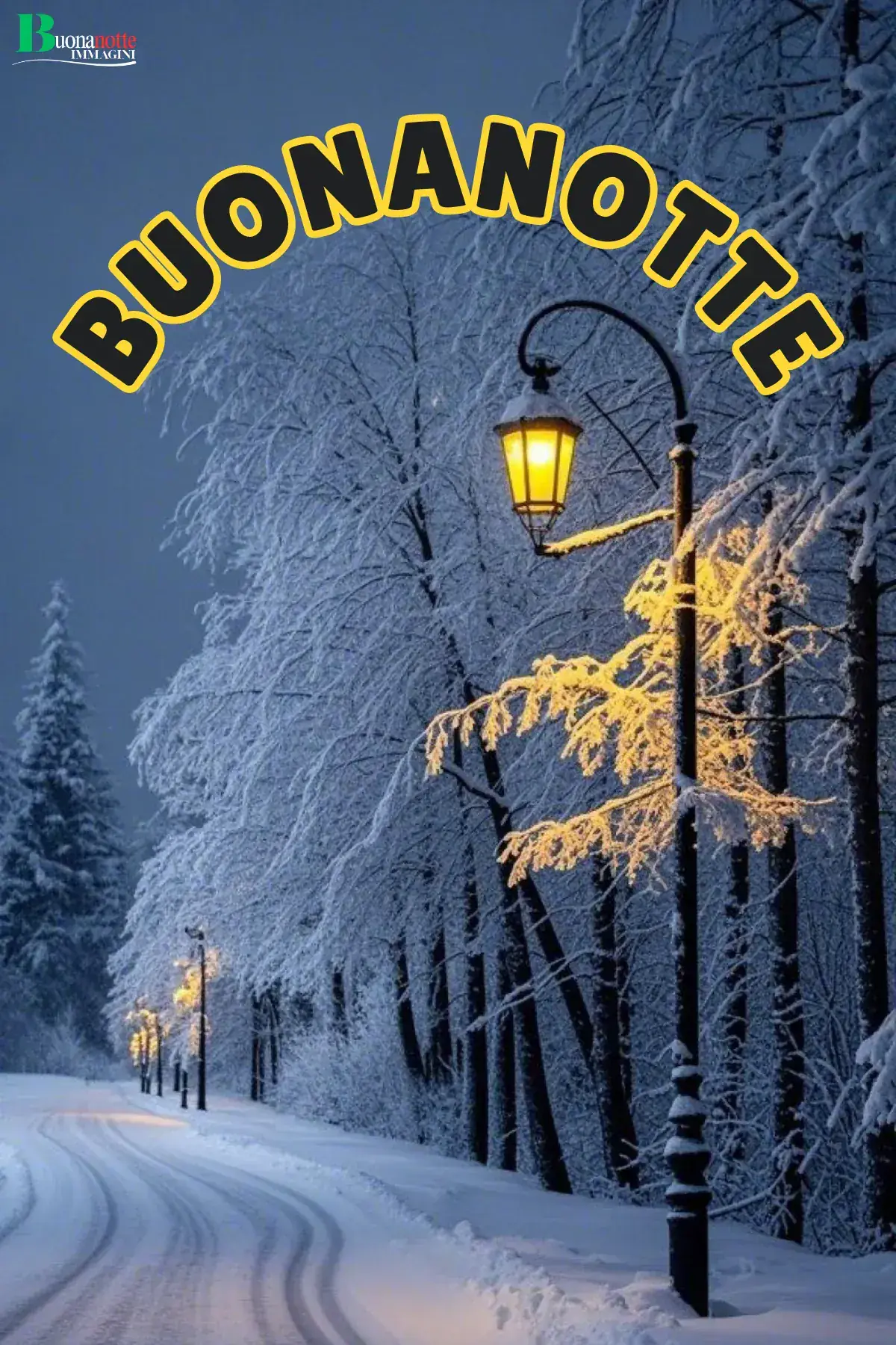 Viale innevato con lampioni accesi tra alberi ghiacciati immagine buonanotte invernale