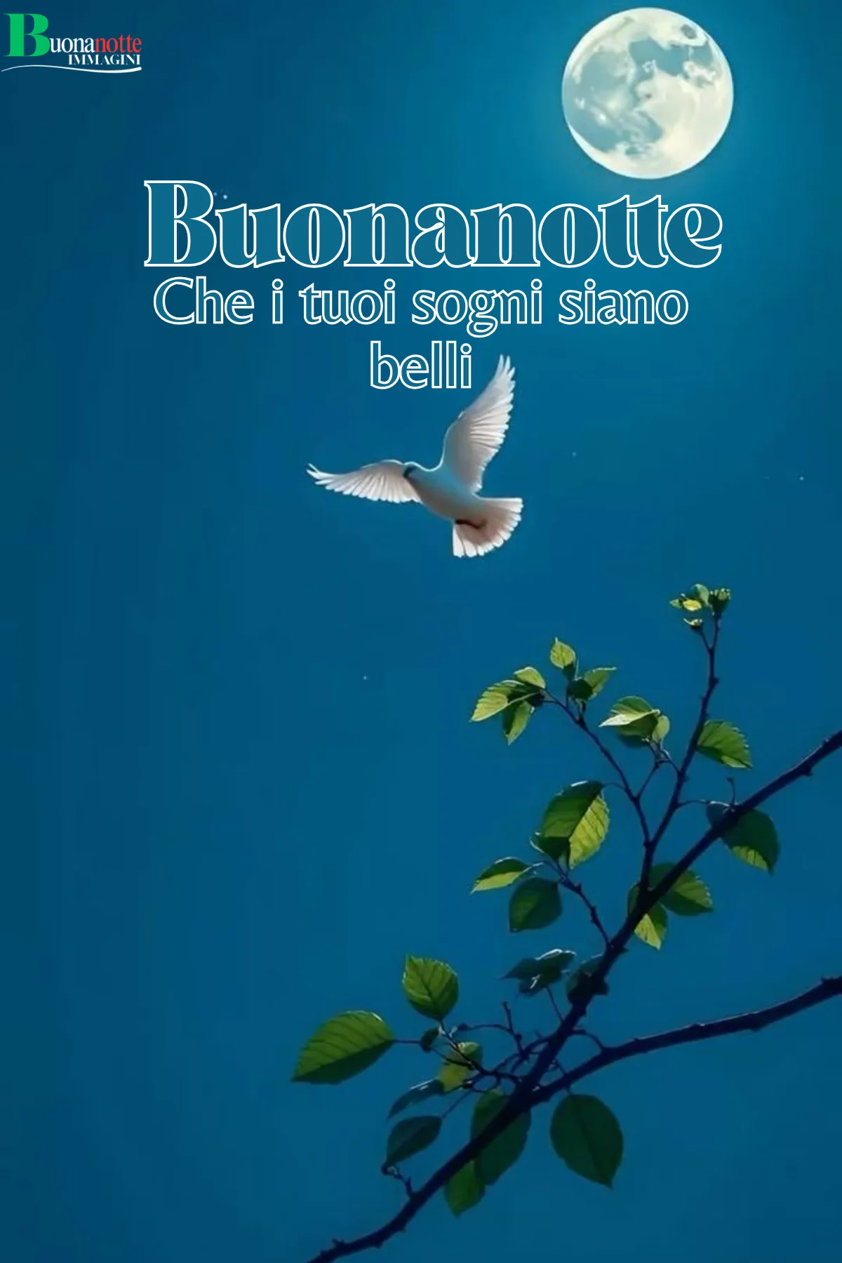 Colomba bianca vola verso luna piena cielo notturno blu frasi buonanotte