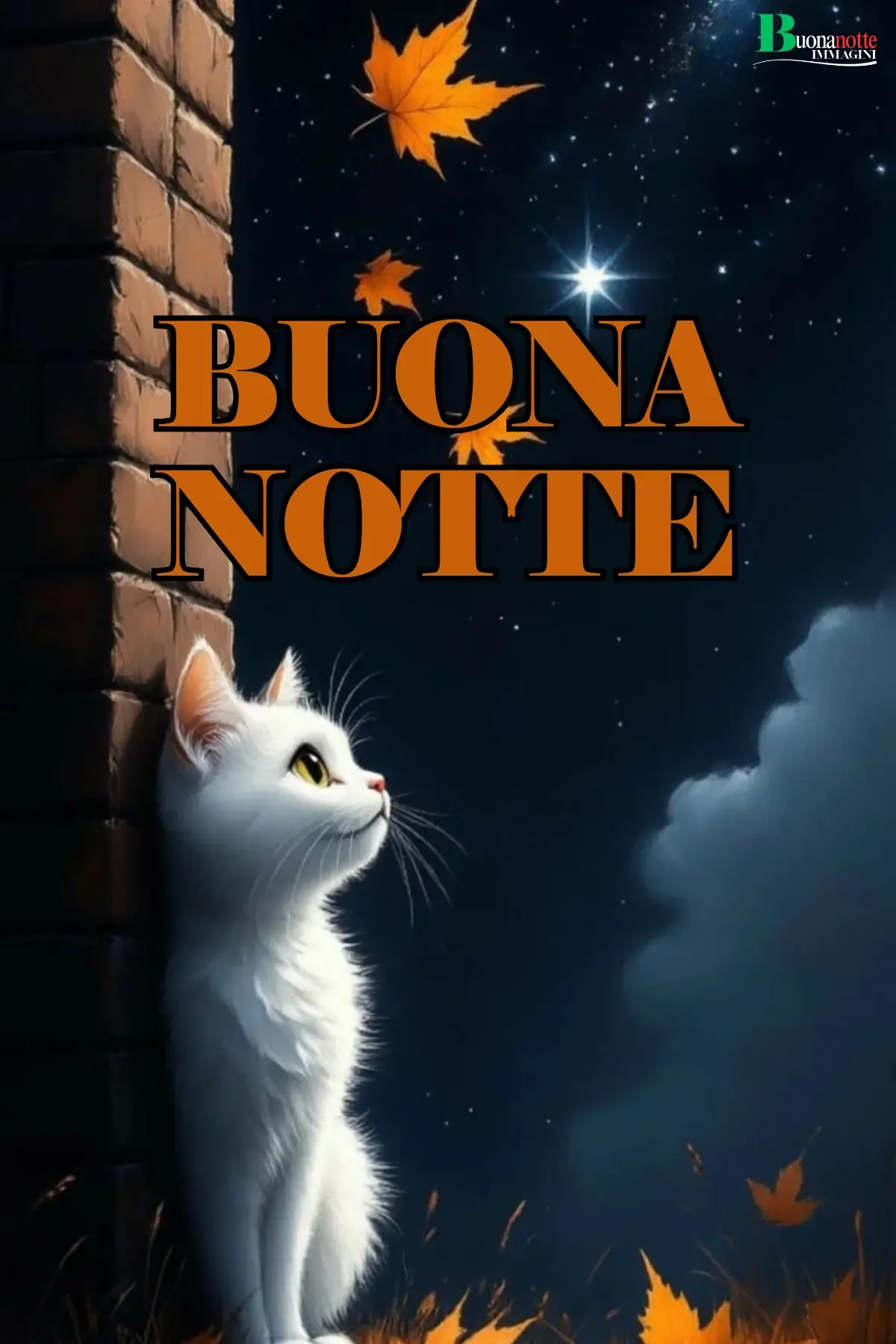 Gattino bianco guarda stelle con foglie autunnali buonanotte