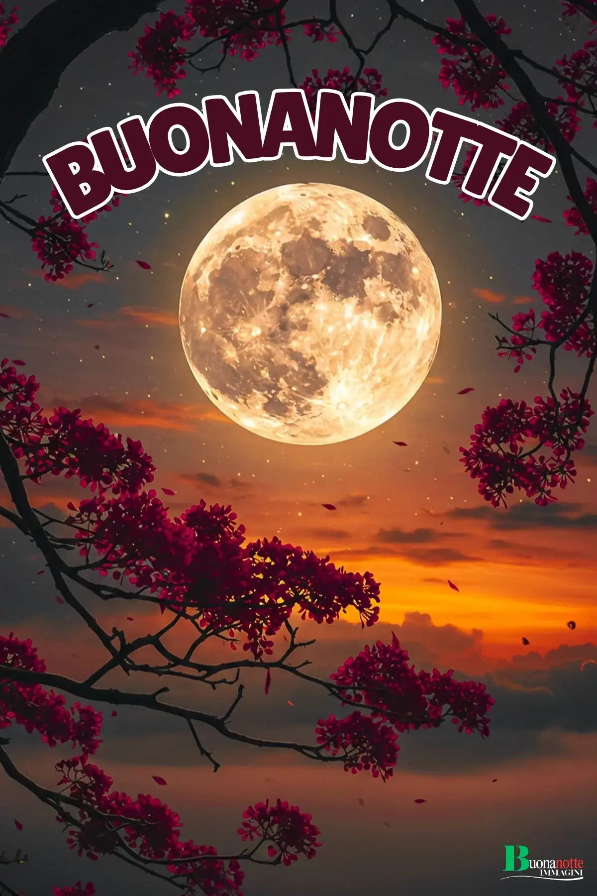 Luna piena dorata tra rami fioriti rossi al tramonto immagine buonanotte