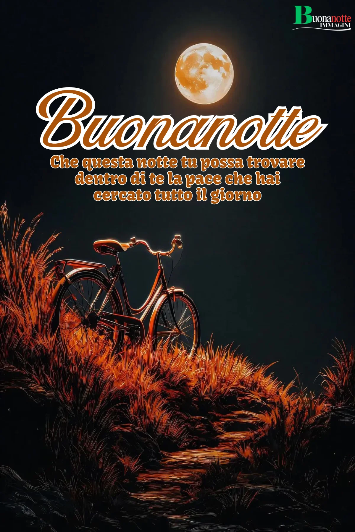 Bicicletta tra erba dorata sotto luna piena notturna frasi buonanotte