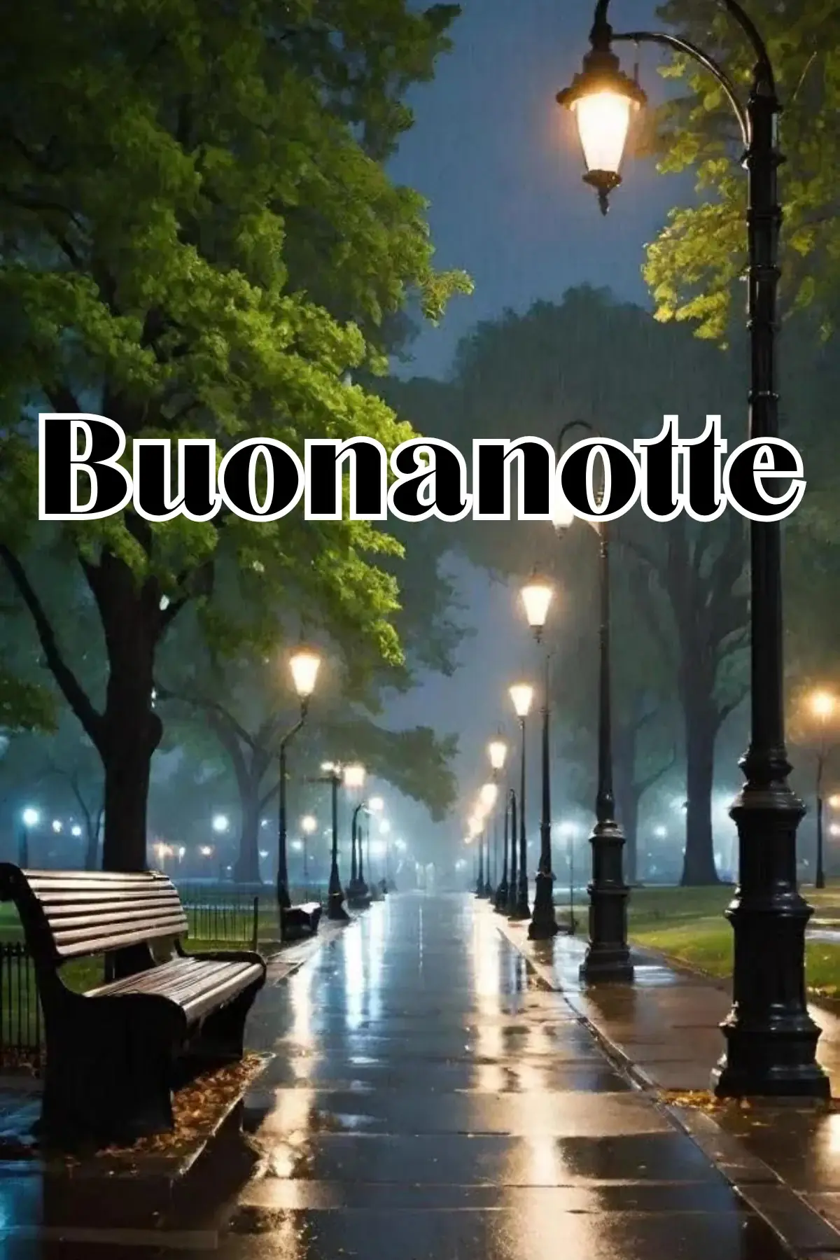 Viale alberato sotto la pioggia con lampioni accesi immagine buonanotte WhatsApp