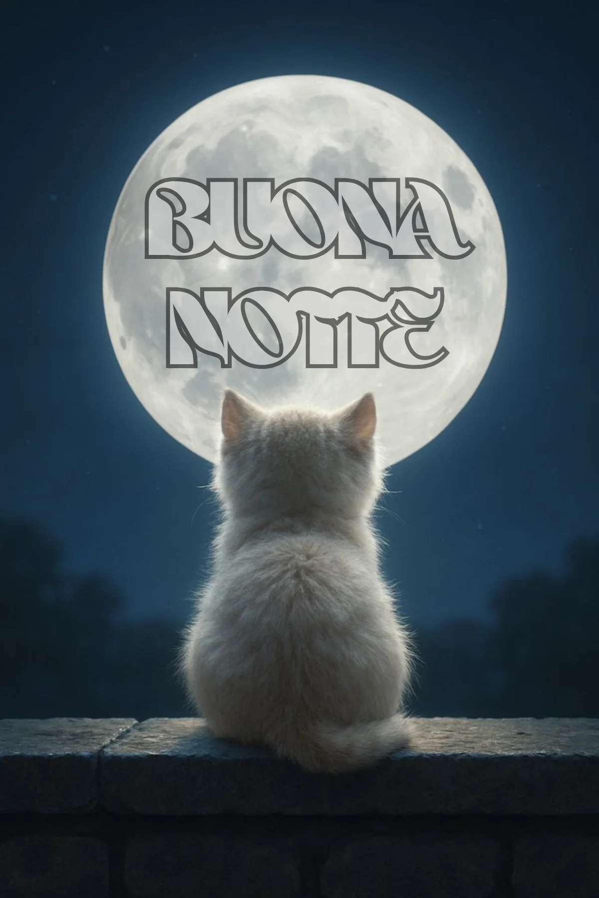 Gattino bianco seduto su muretto guarda luna piena buonanotte