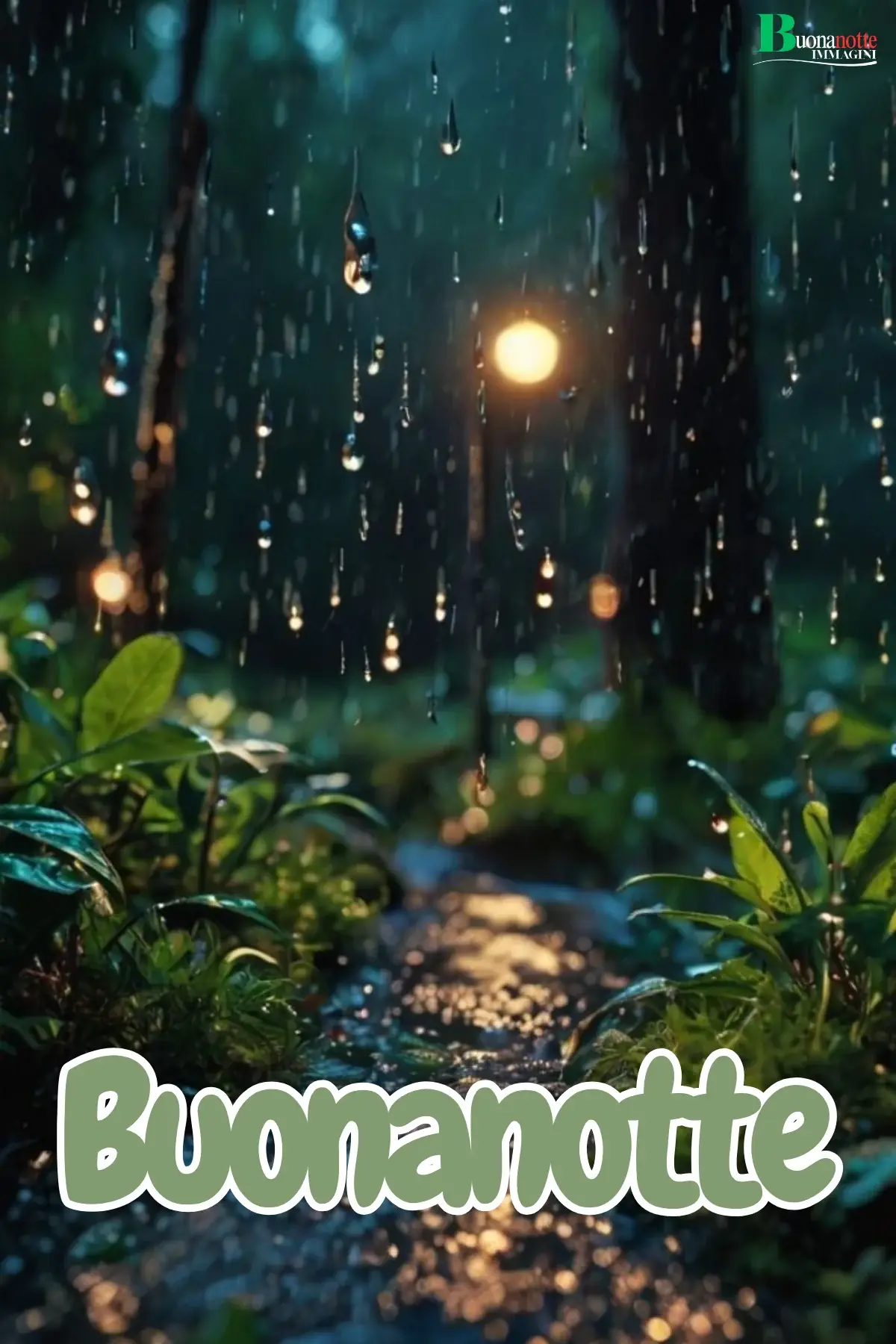 Bosco autunnale con pioggia e luce calda buonanotte