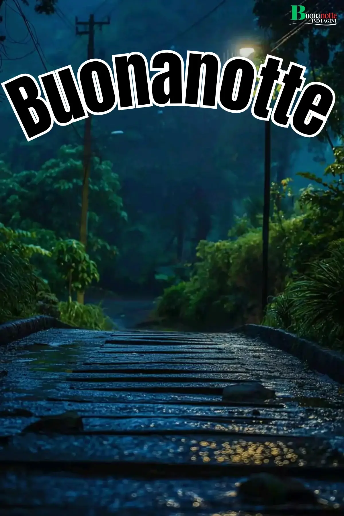 Sentiero bagnato dalla pioggia notturna tra vegetazione tropicale immagine buonanotte