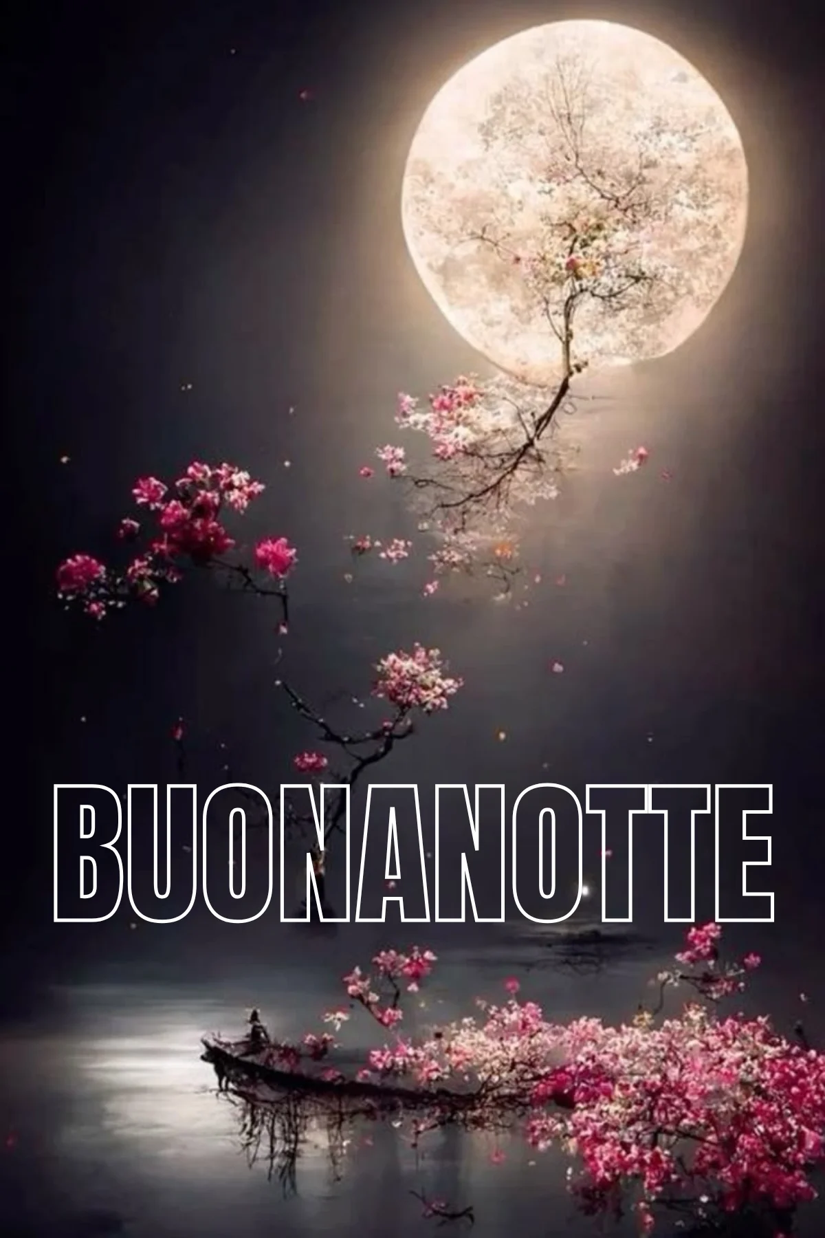 Luna piena con rami di ciliegio rosa sul lago notturno immagini buonanotte