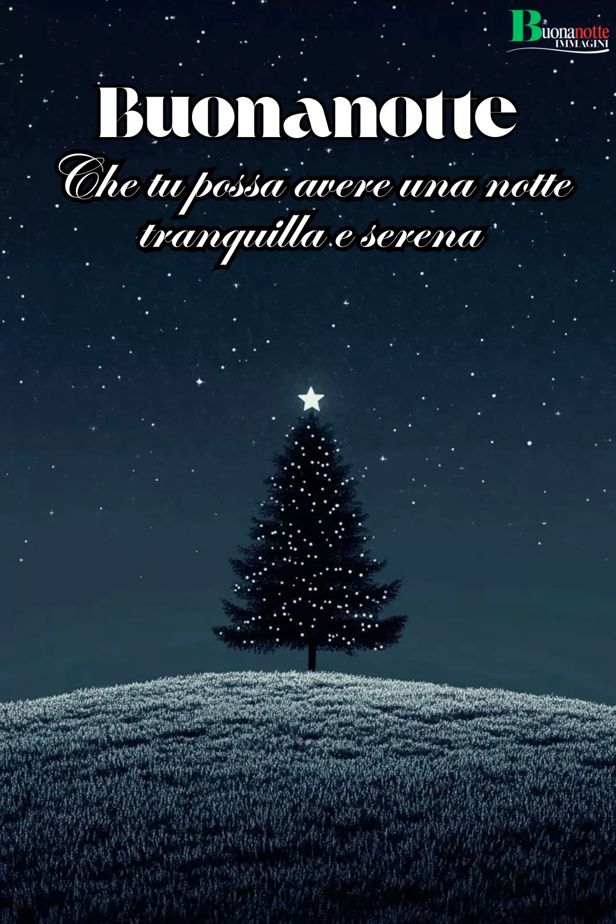 Albero di Natale illuminato su collina sotto cielo stellato notturno frasi buonanotte