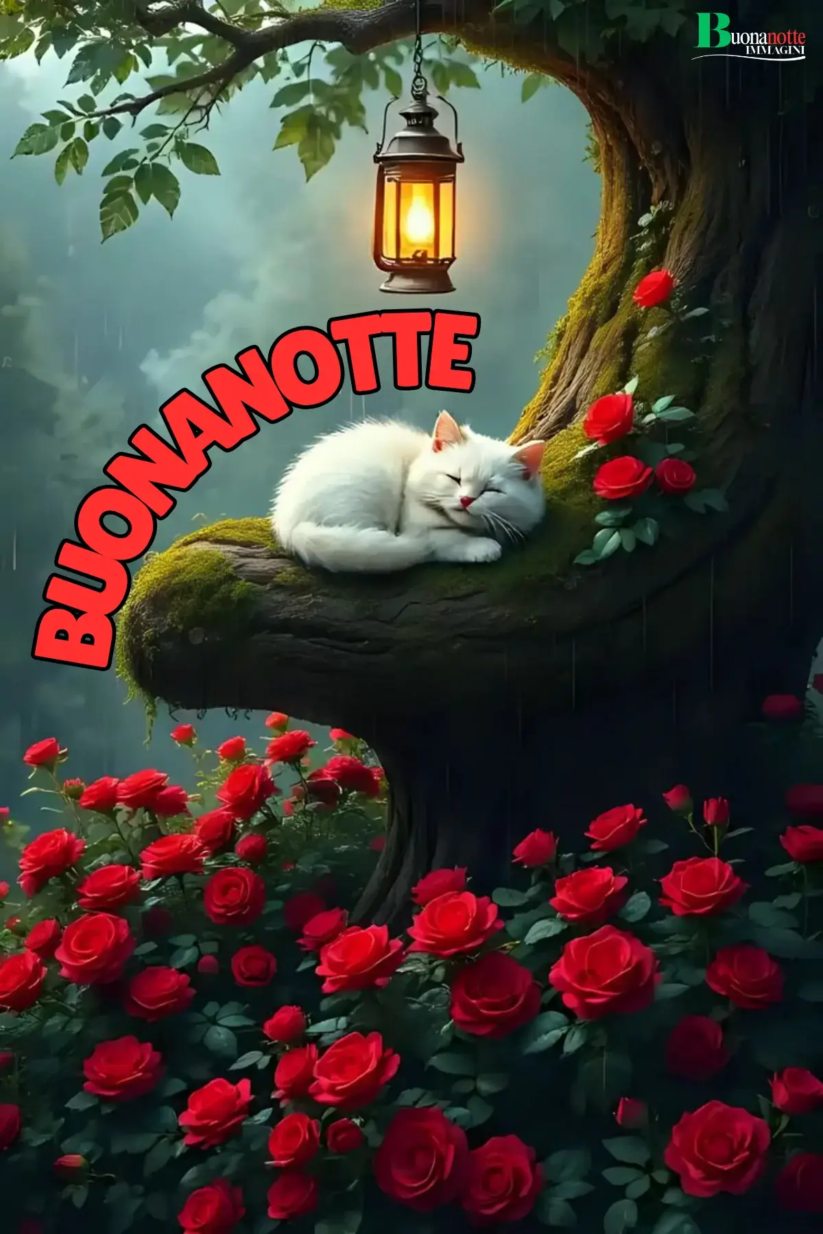 Gattino bianco dorme su albero tra rose rosse immagine buonanotte