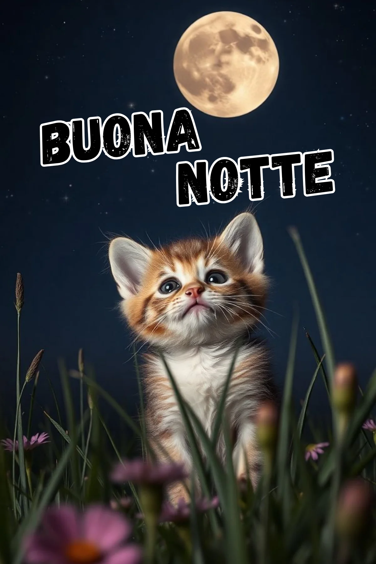 Gattino arancione tra fiori sotto luna piena 100 immagini buonanotte