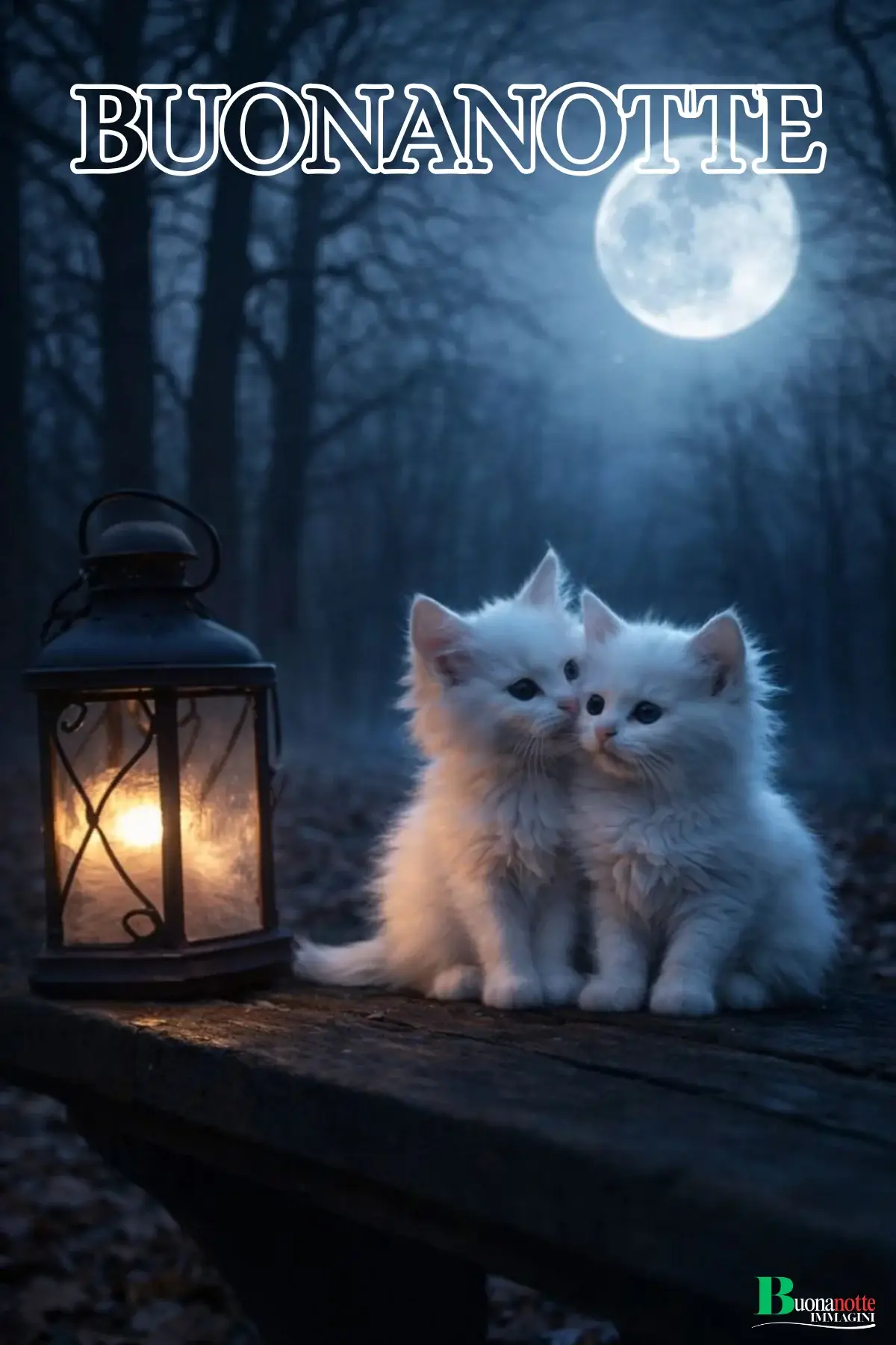 Due gattini bianchi vicino a lanterna sotto luna piena immagine buonanotte