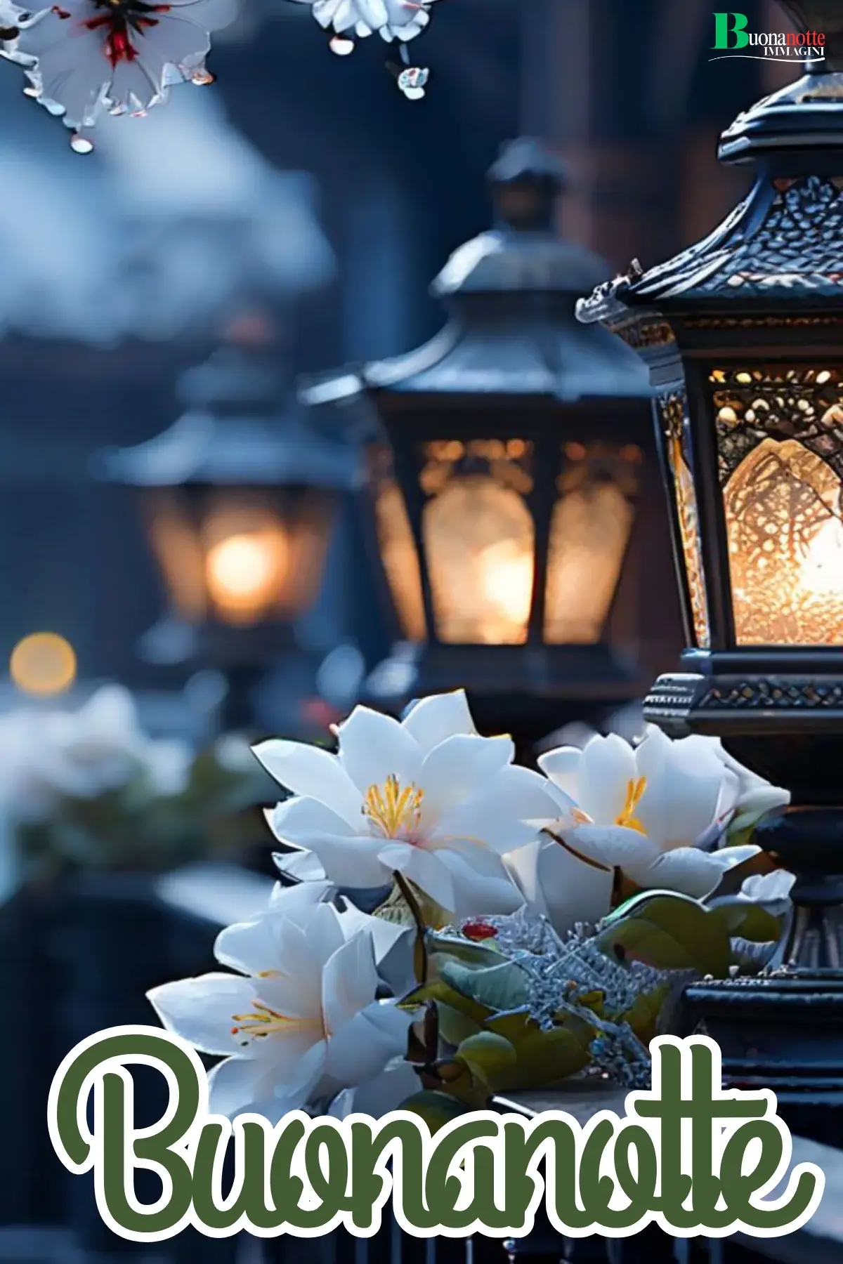Lanterne soffuse e fiori bianchi buonanotte invernale