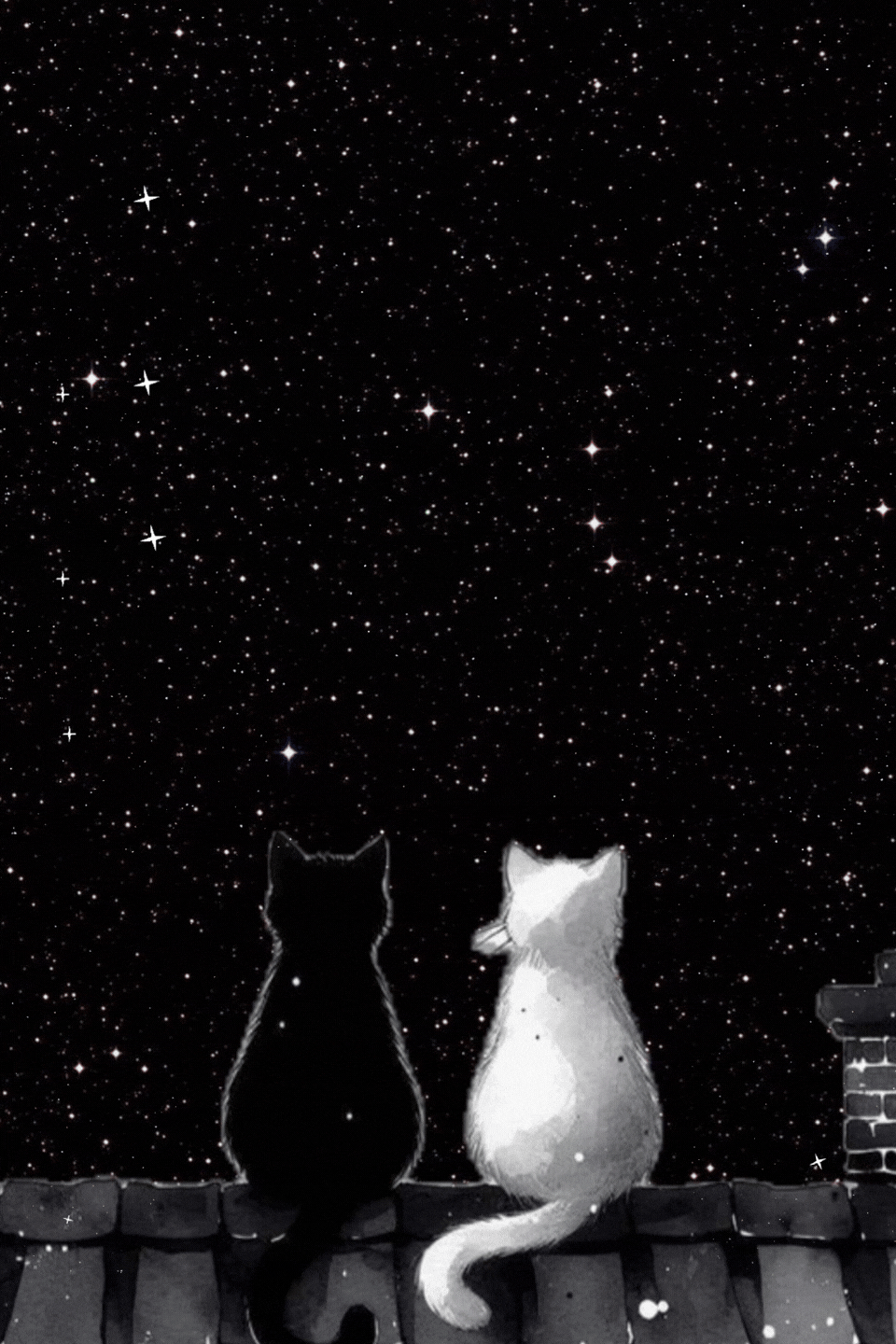 Gattini sul tetto sotto le stelle buonanotte originalissima gif