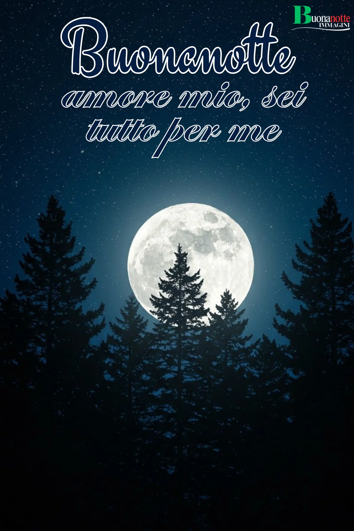 Luna piena tra abeti scuri cielo stellato frase buonanotte romantica