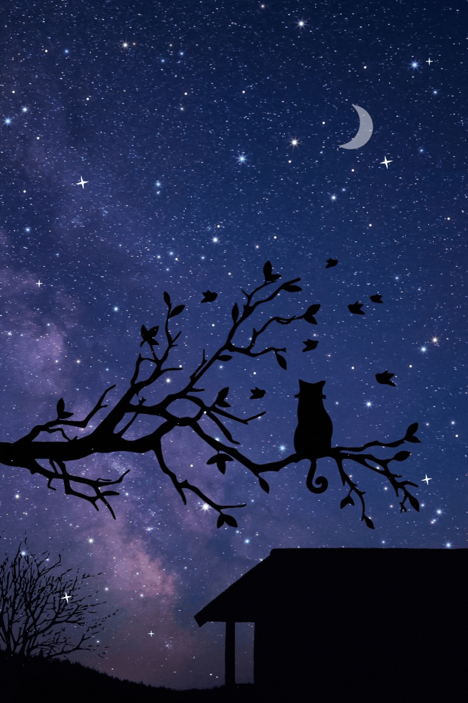 Sagoma di gatto su ramo sotto cielo stellato con luna buonanotte gif