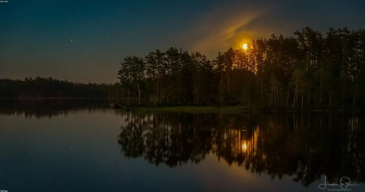 Luna piena tra pini riflessa in lago notturno immagine buonanotte