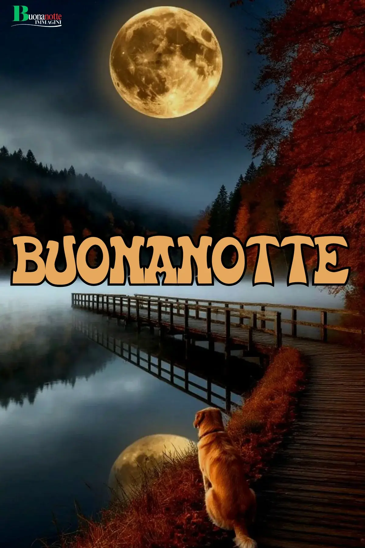 Cane sul pontile al lago sotto luna piena autunnale buonanotte autunnale