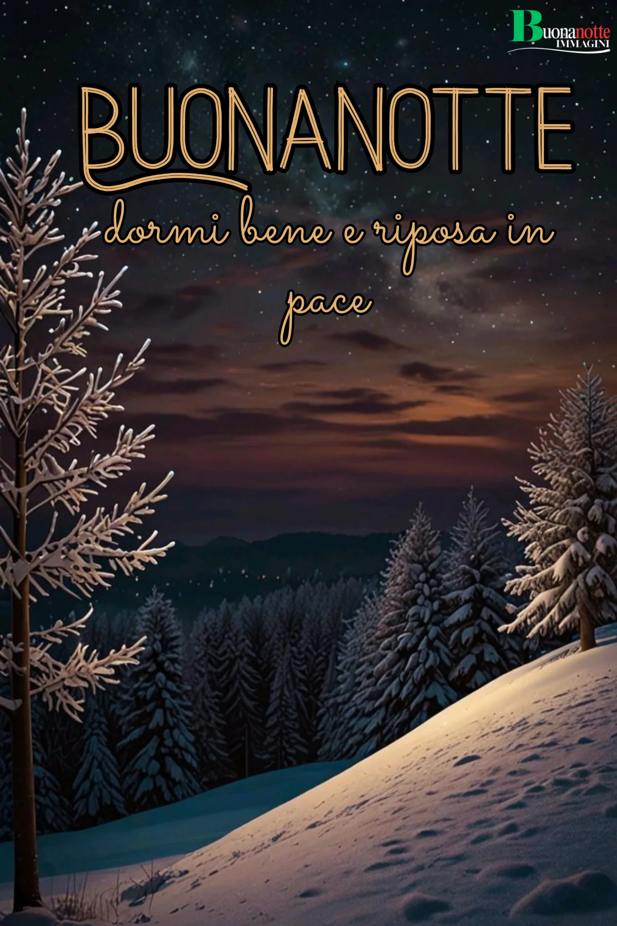 Paesaggio innevato notturno con abeti e cielo stellato frasi buonanotte