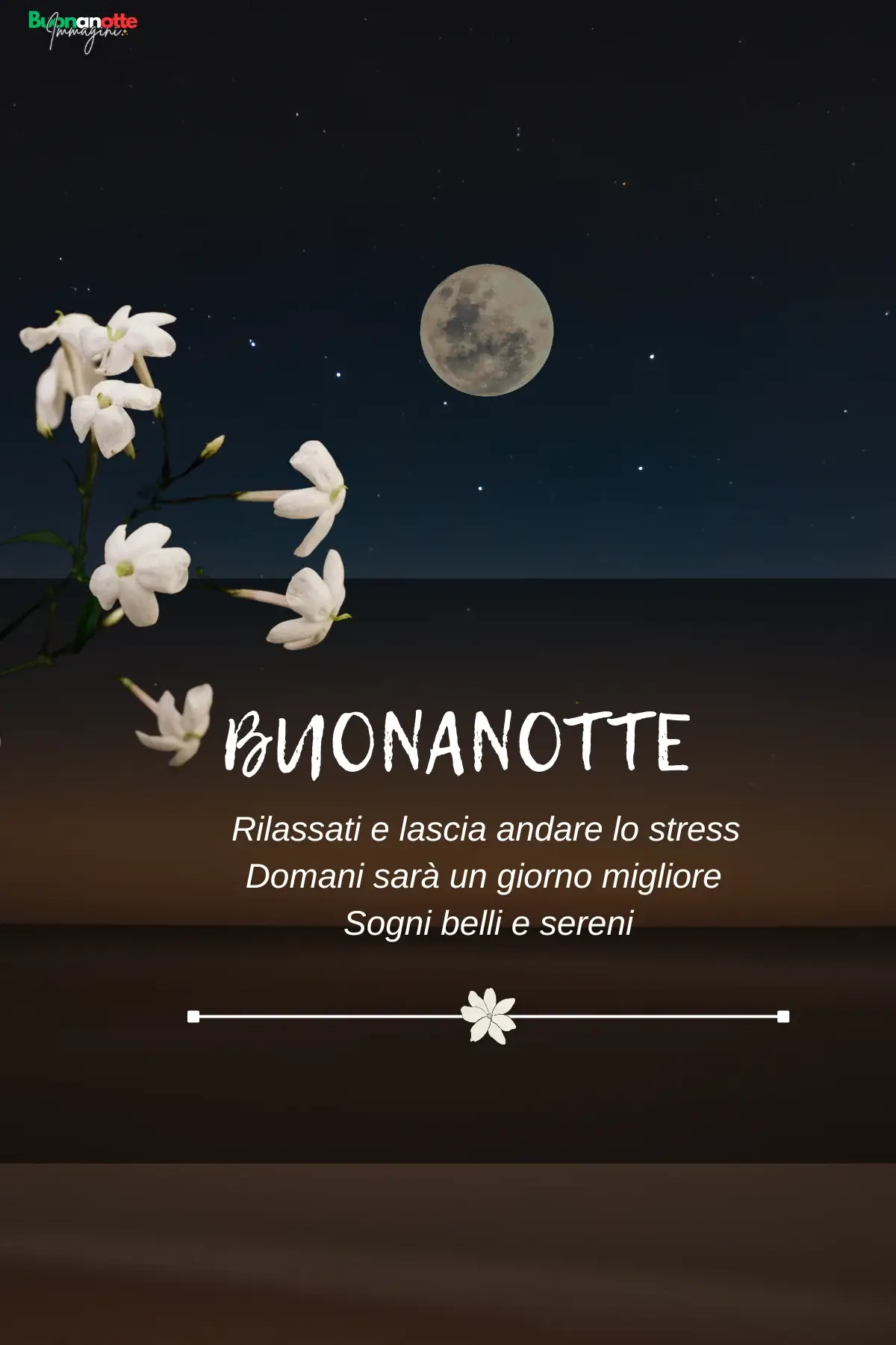 Gelsomini bianchi sotto luna piena nel cielo stellato immagine buonanotte