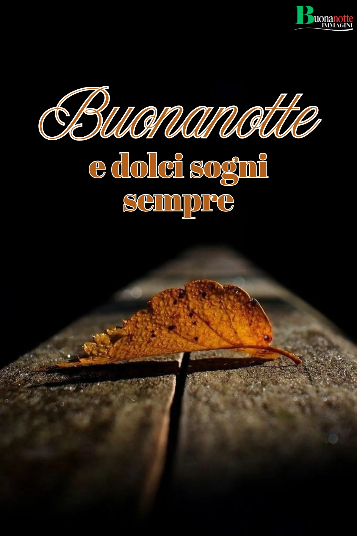 Foglia dorata autunnale su legno scuro frasi buonanotte
