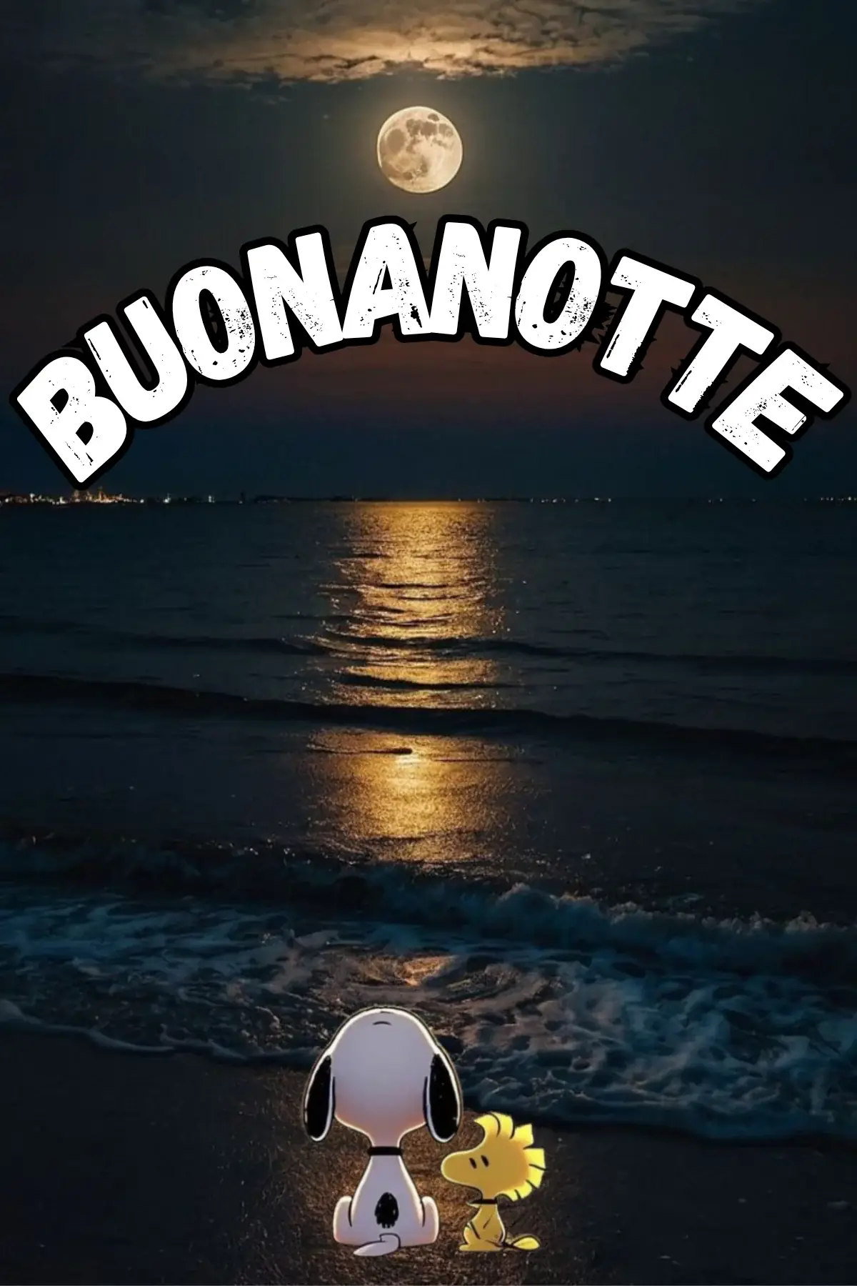 Snoopy e Woodstock sulla spiaggia con luna piena buonanotte divertente