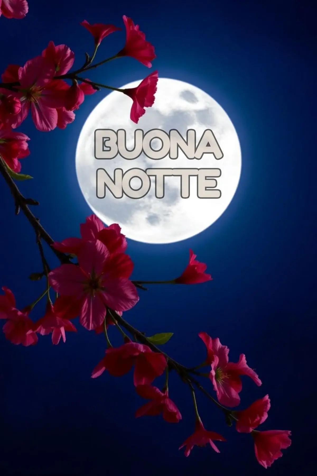 Luna piena tra rami di ciliegio rosa su cielo notturno immagine buonanotte
