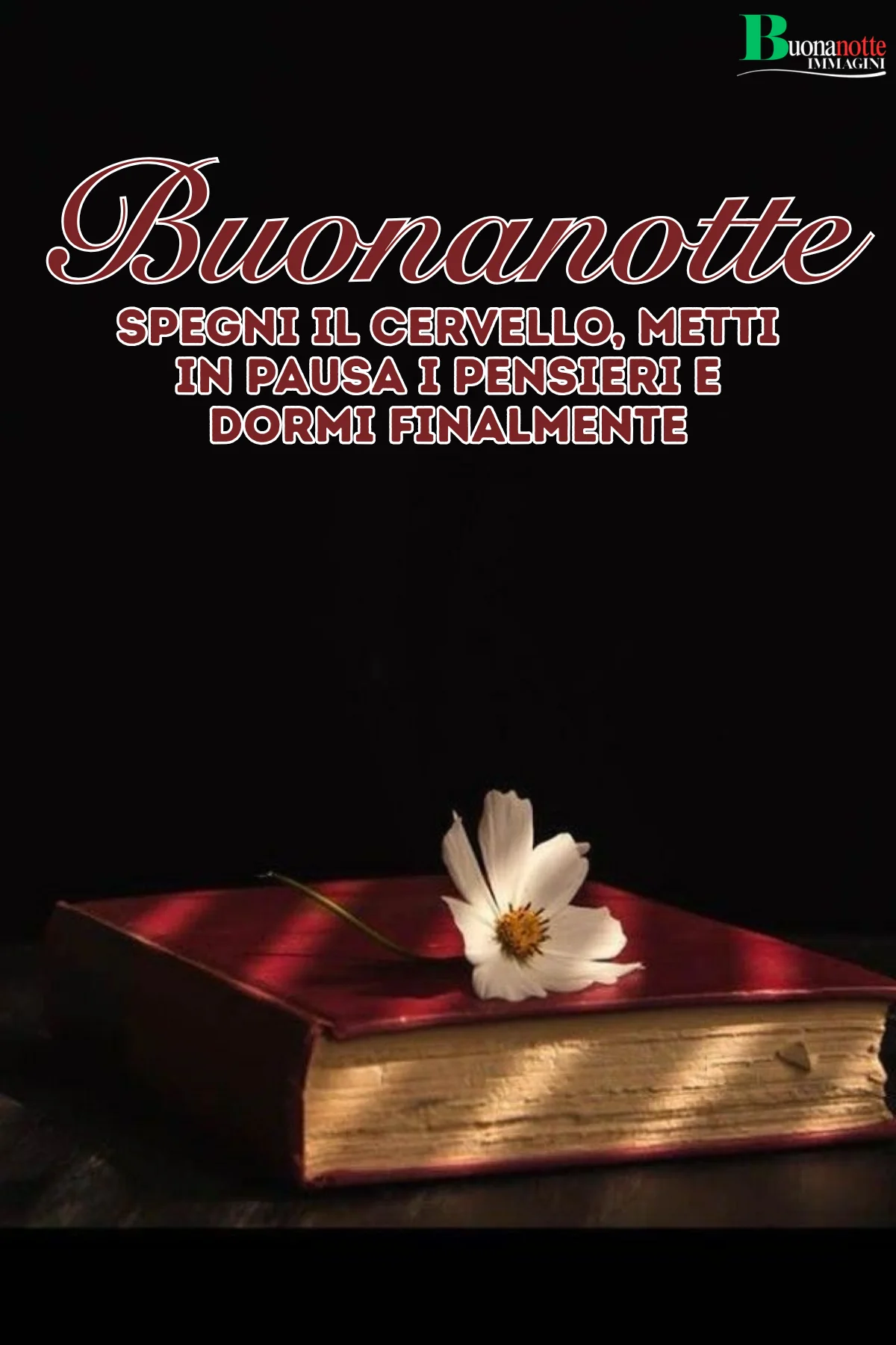 Libro antico rosso con fiore bianco su sfondo nero frasi buonanotte